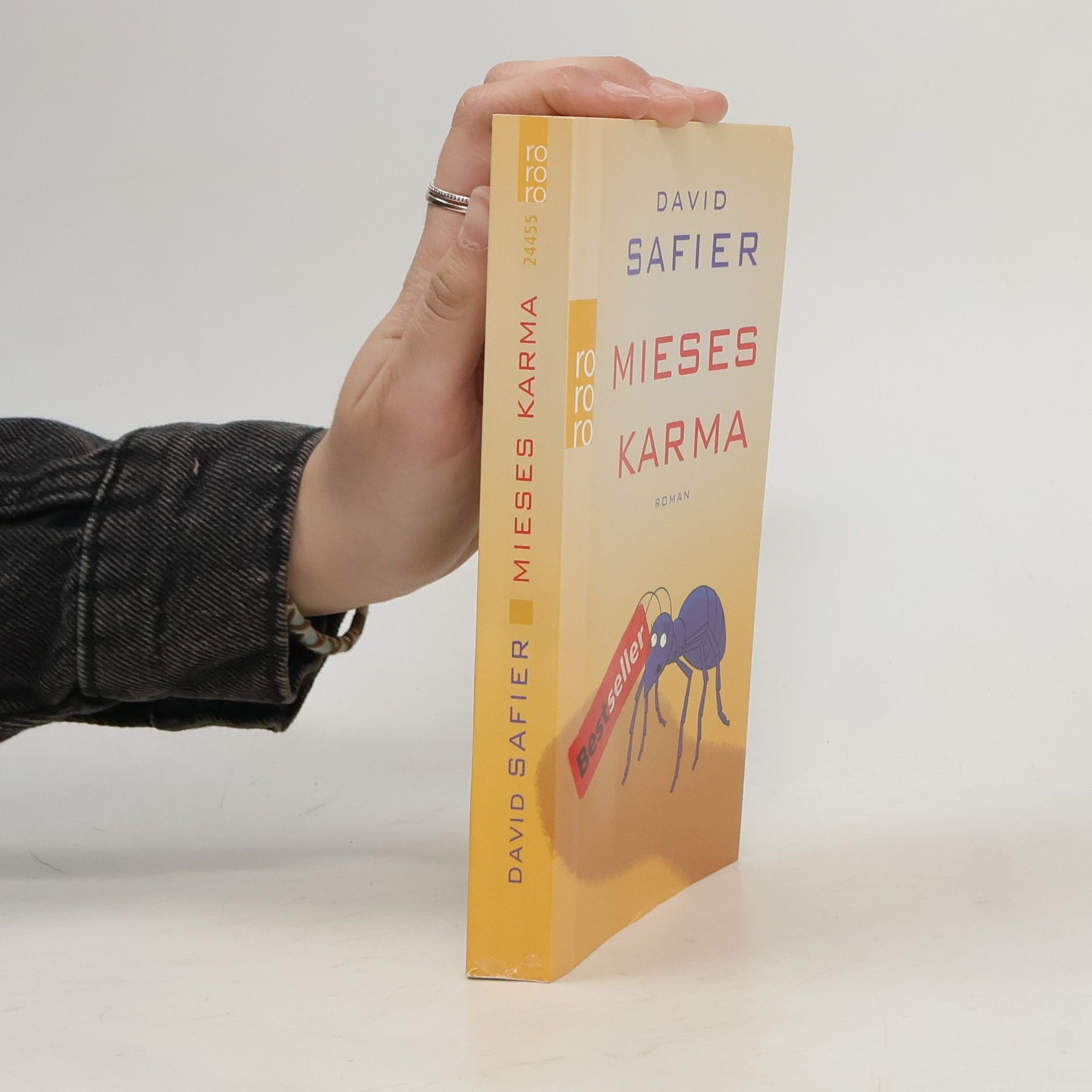 David Safier Mieses Karma