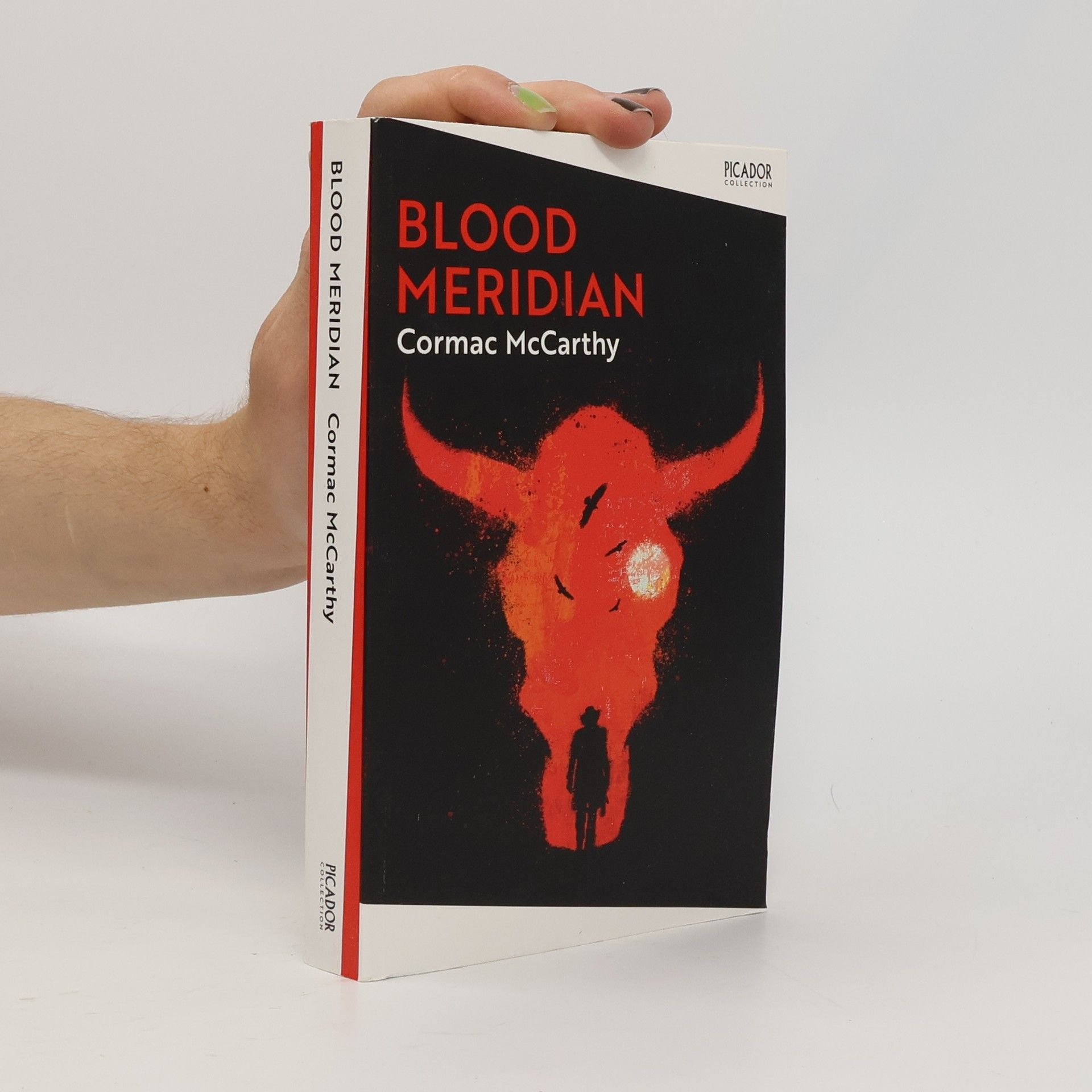 Cormac McCarthy Blood Meridian