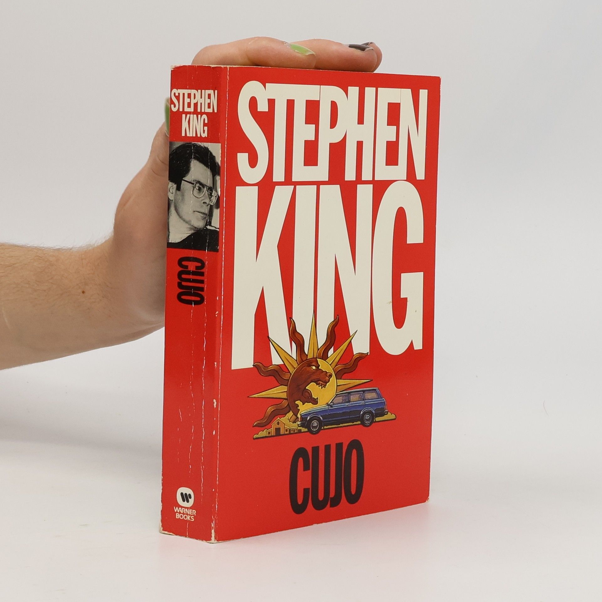 Stephen King Cujo