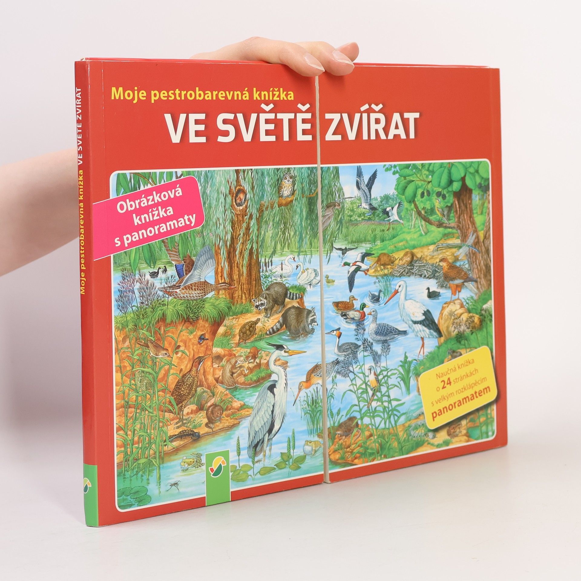 Anne Suess Meine kunterbunte Tierwelt