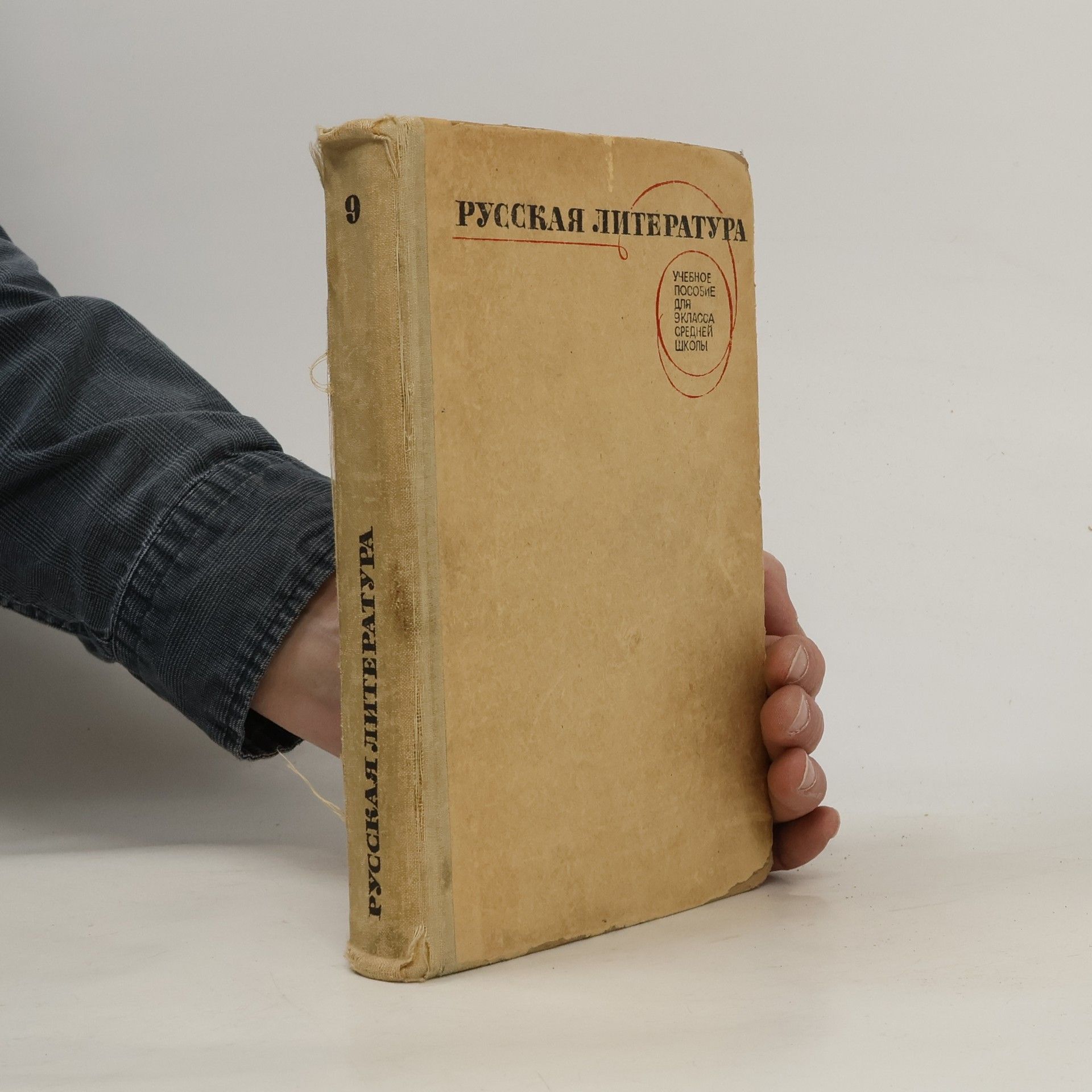 Autorenkollektiv Русская литература 9
