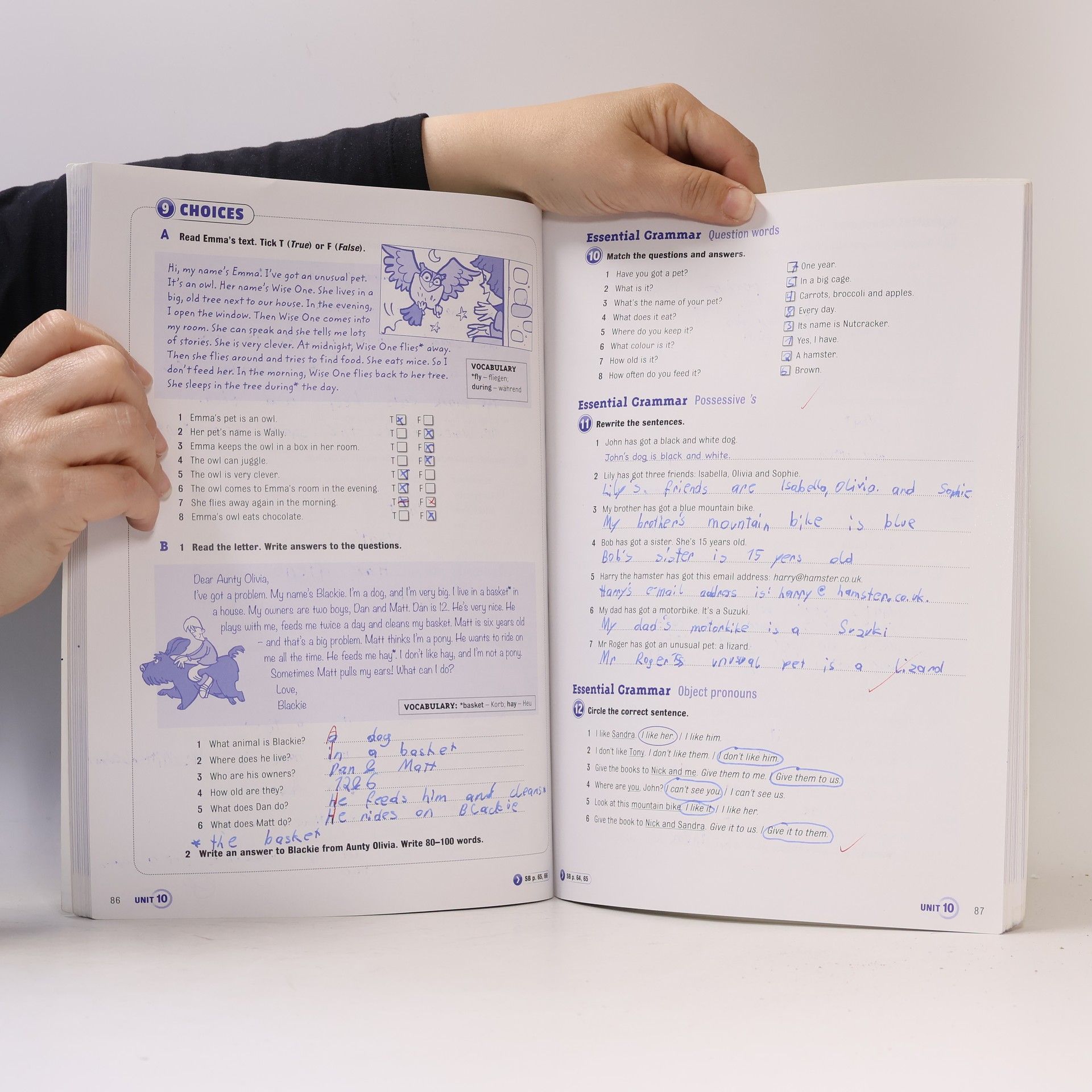Günter Gerngross MORE! 1. Workbook