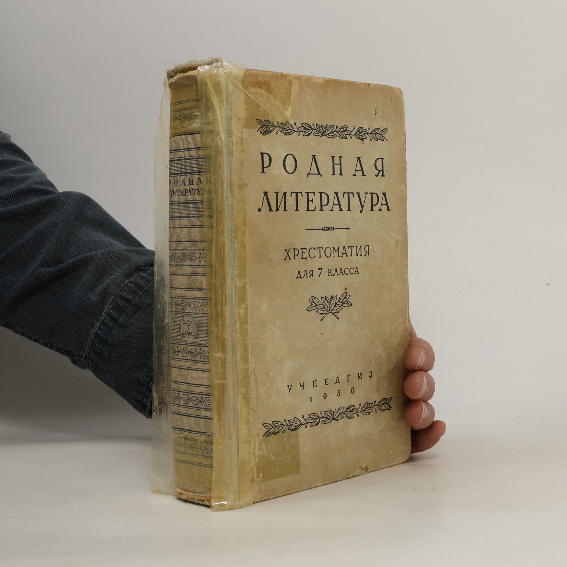 Autorenkollektiv Родная литература