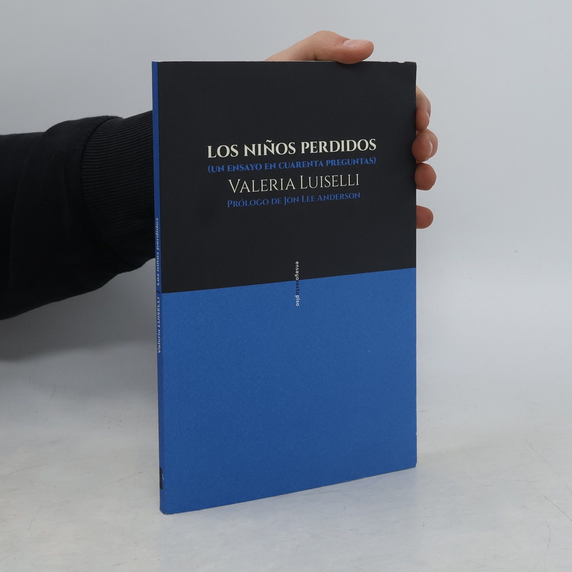 Luiselli Valeria Los niños perdidos