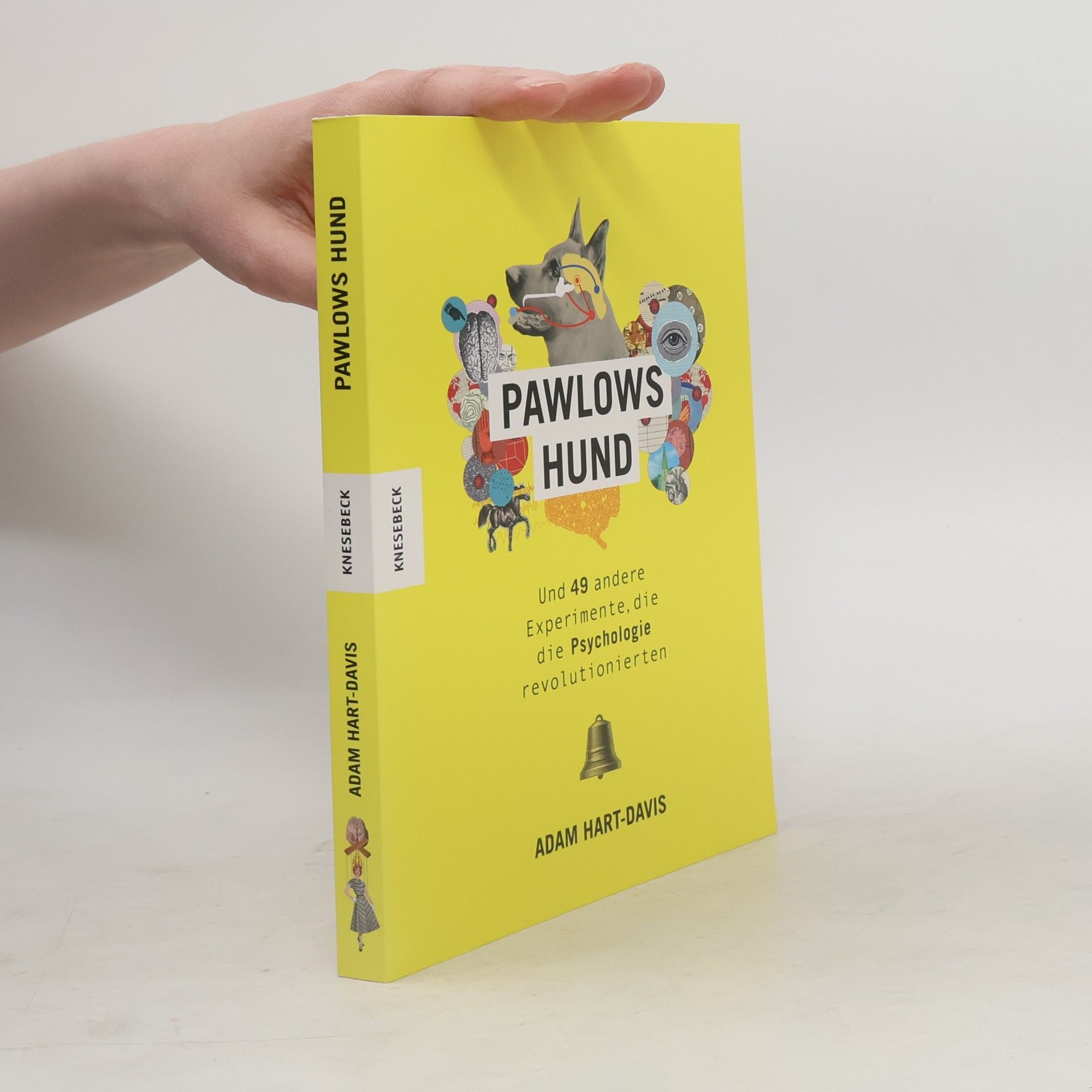 Jason Anscomb Pawlows Hund
