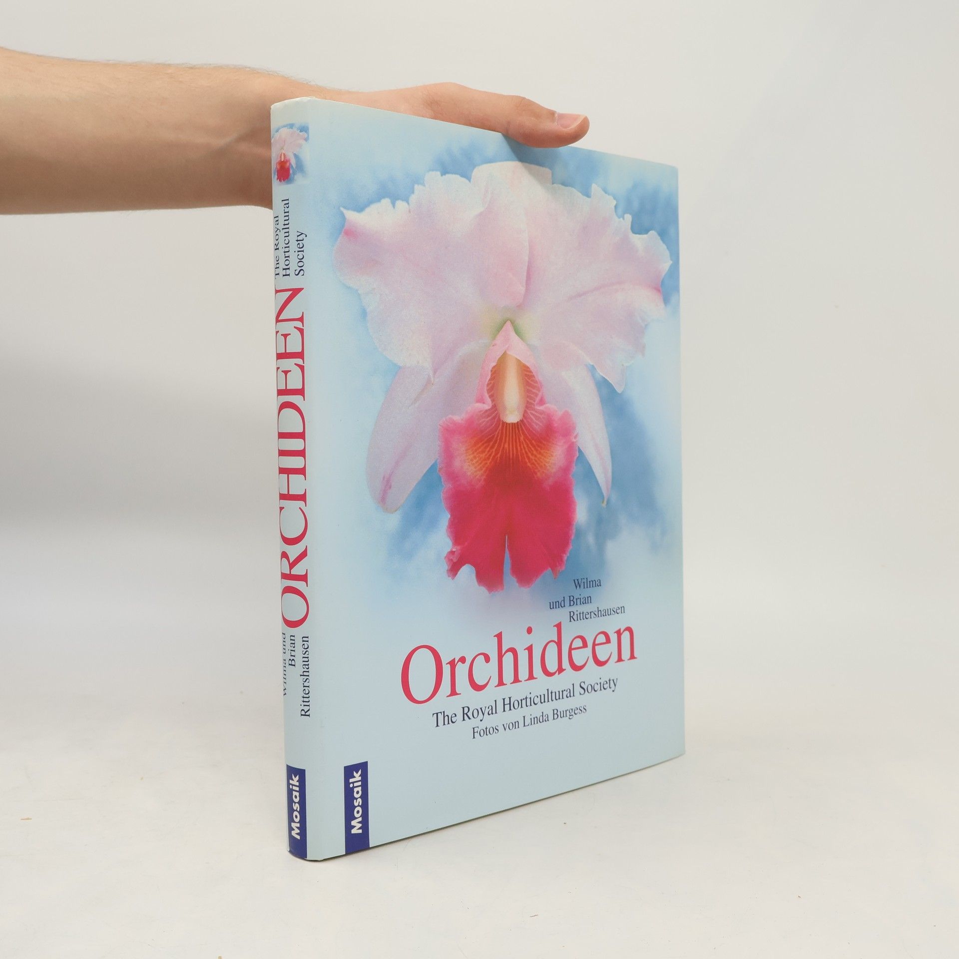 Wilma Rittershausen Orchideen