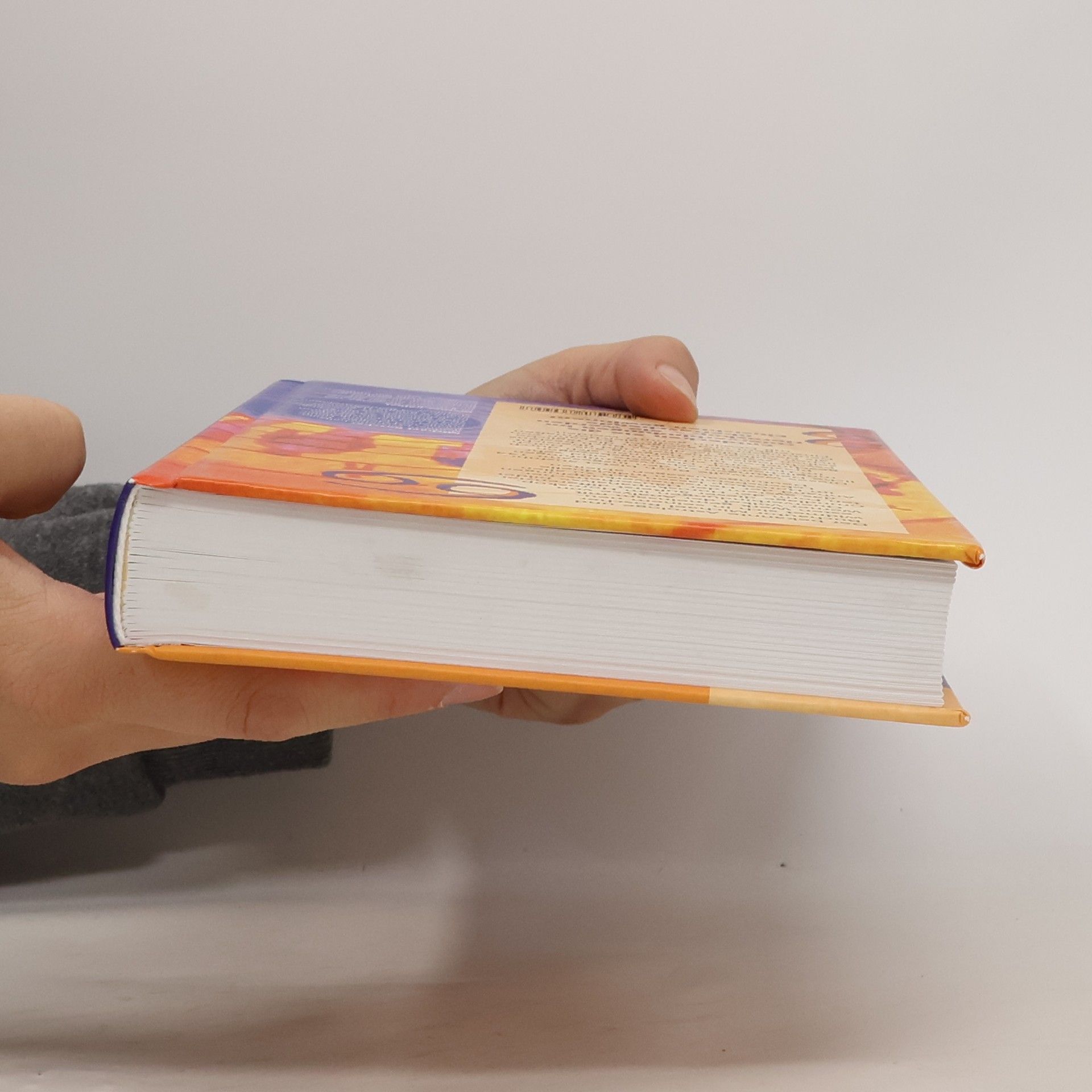 Michael Roscher Das Buch der Häuserherrscher