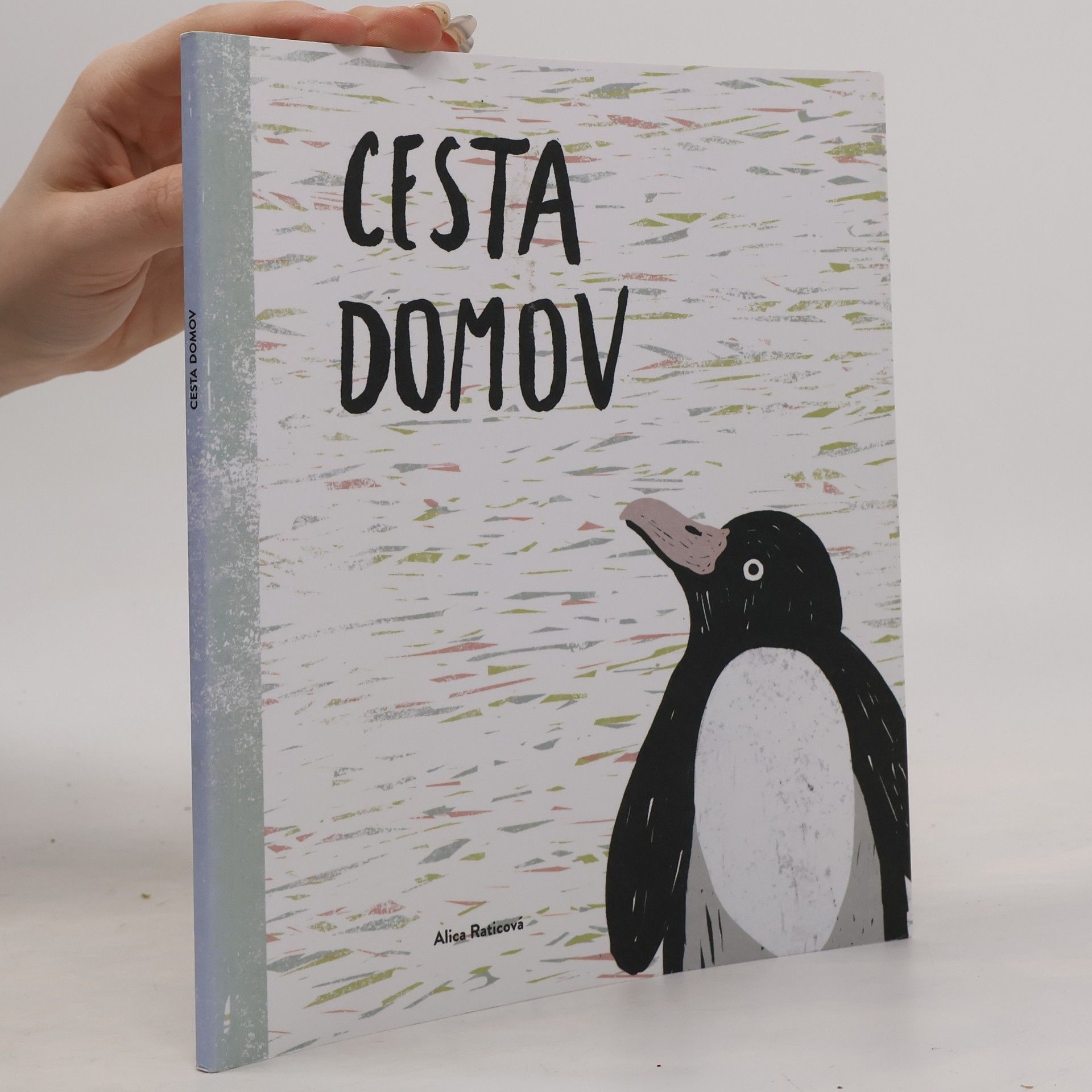 Alica Raticová Cesta domov