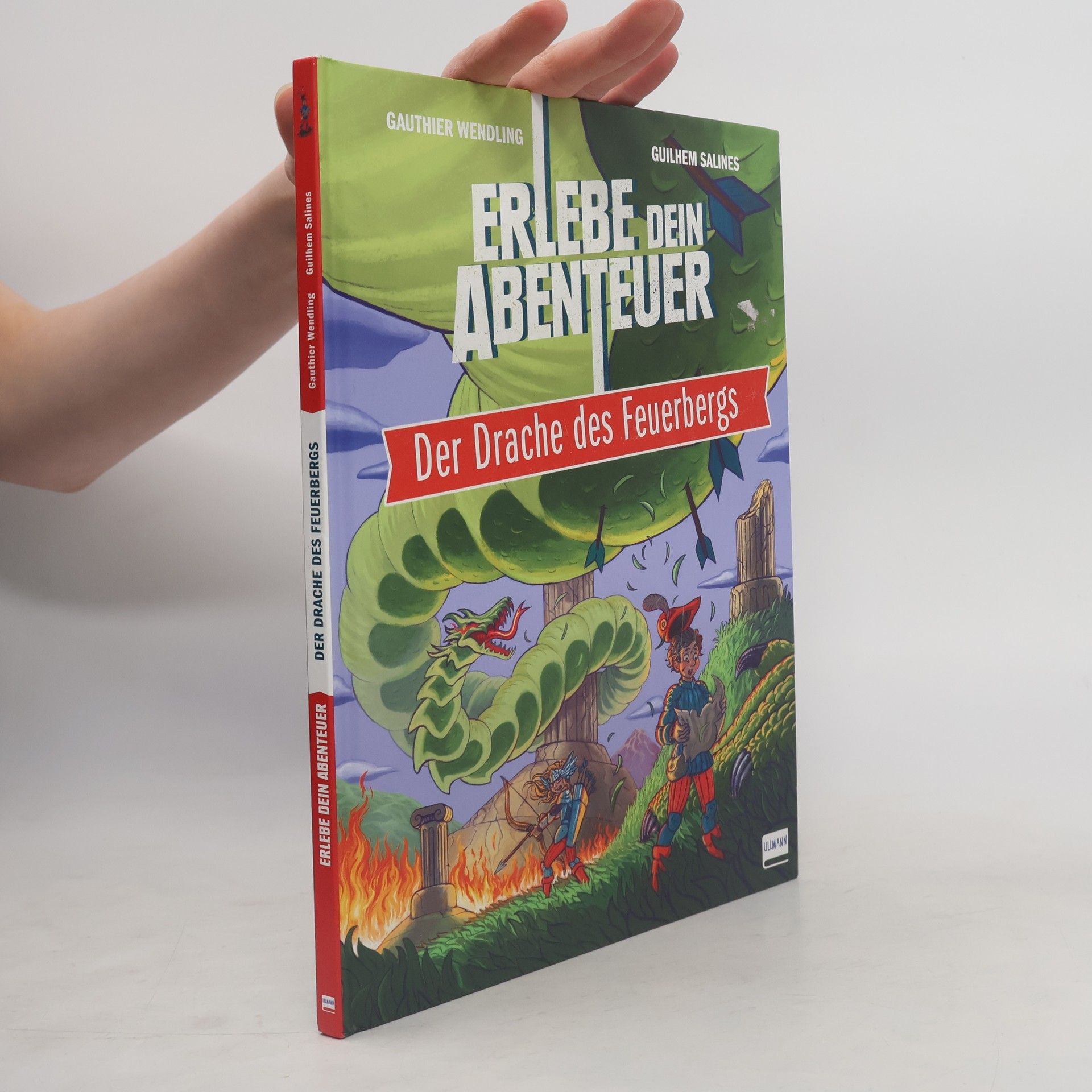 Gauthier Wendling Der Drache des Feuerbergs