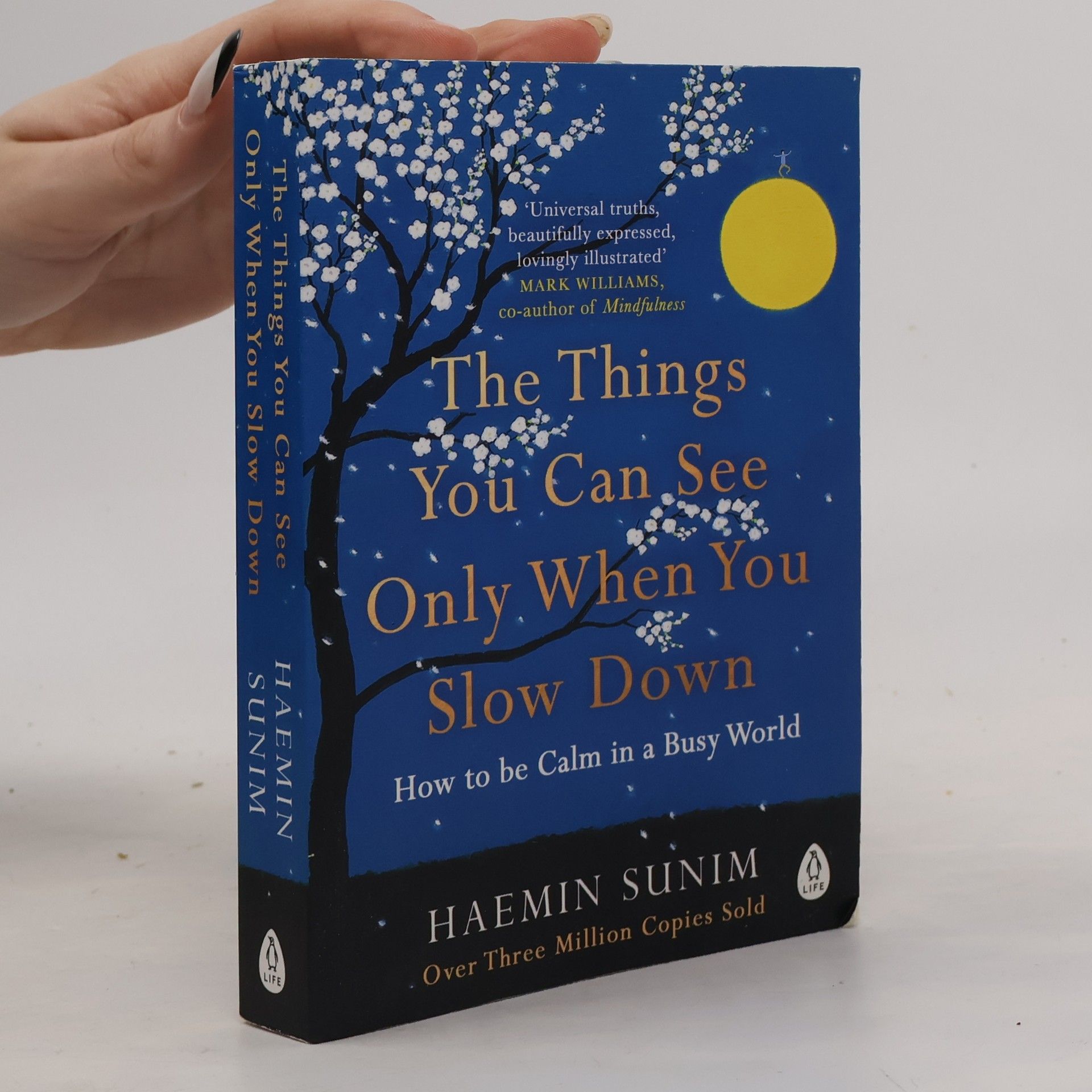 Sunim Haemin The Things You Can See Only When You Slow Down