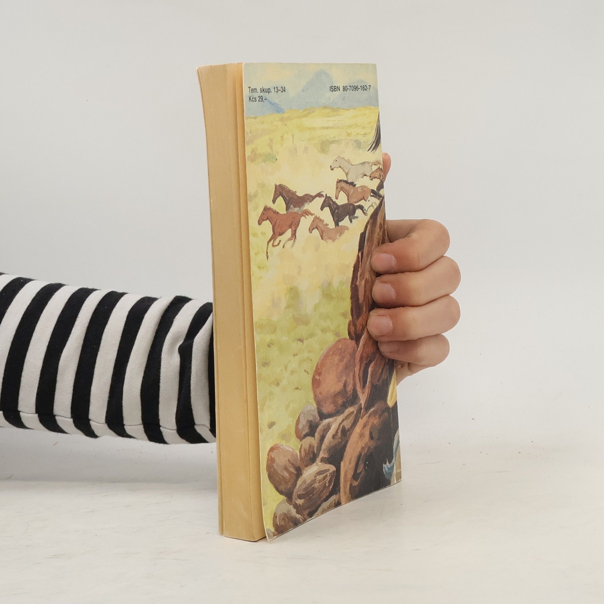 Zane Grey Údolie divokých koní