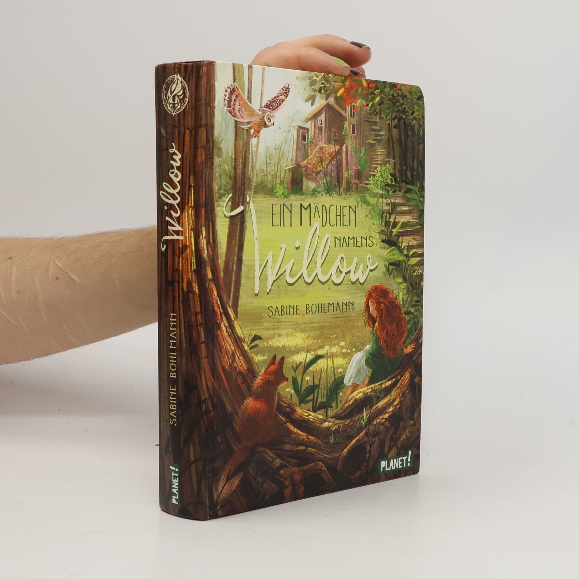 Sabine Bohlmann Ein Mädchen namens Willow