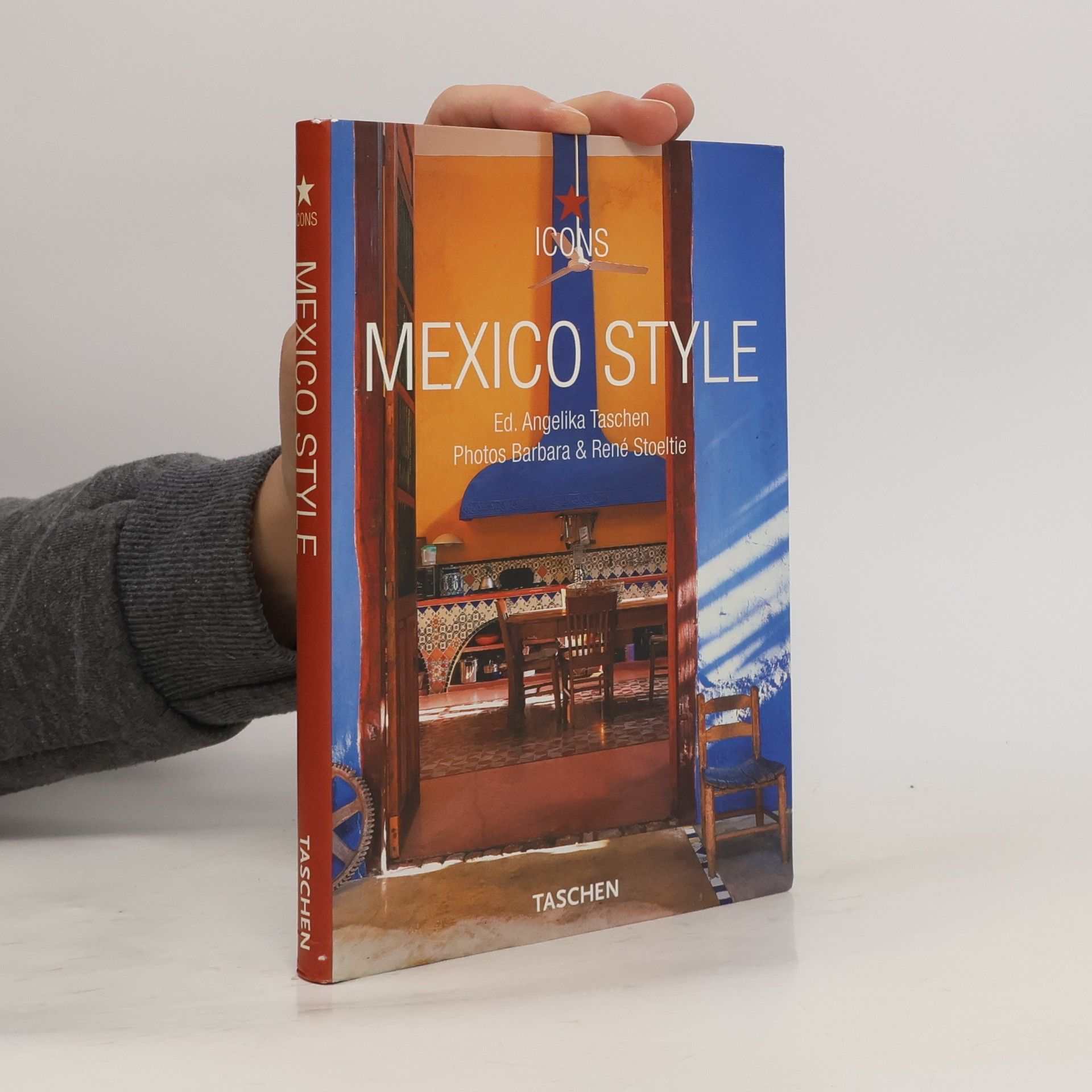 Christian E. Reiter Mexico style : exteriors, interiors, details