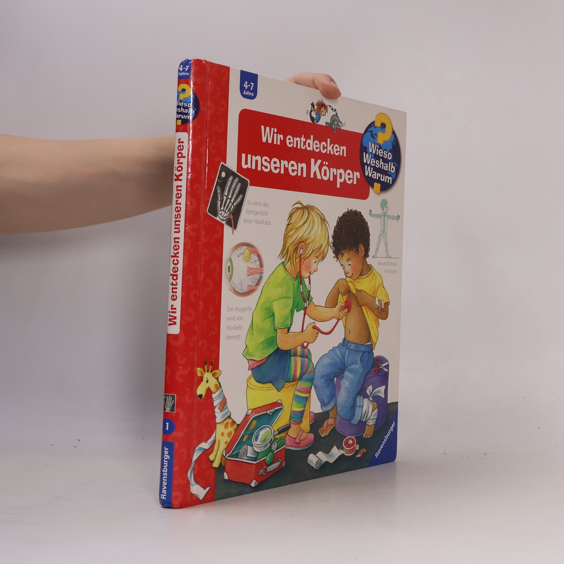 Wir entdecken unseren Körper