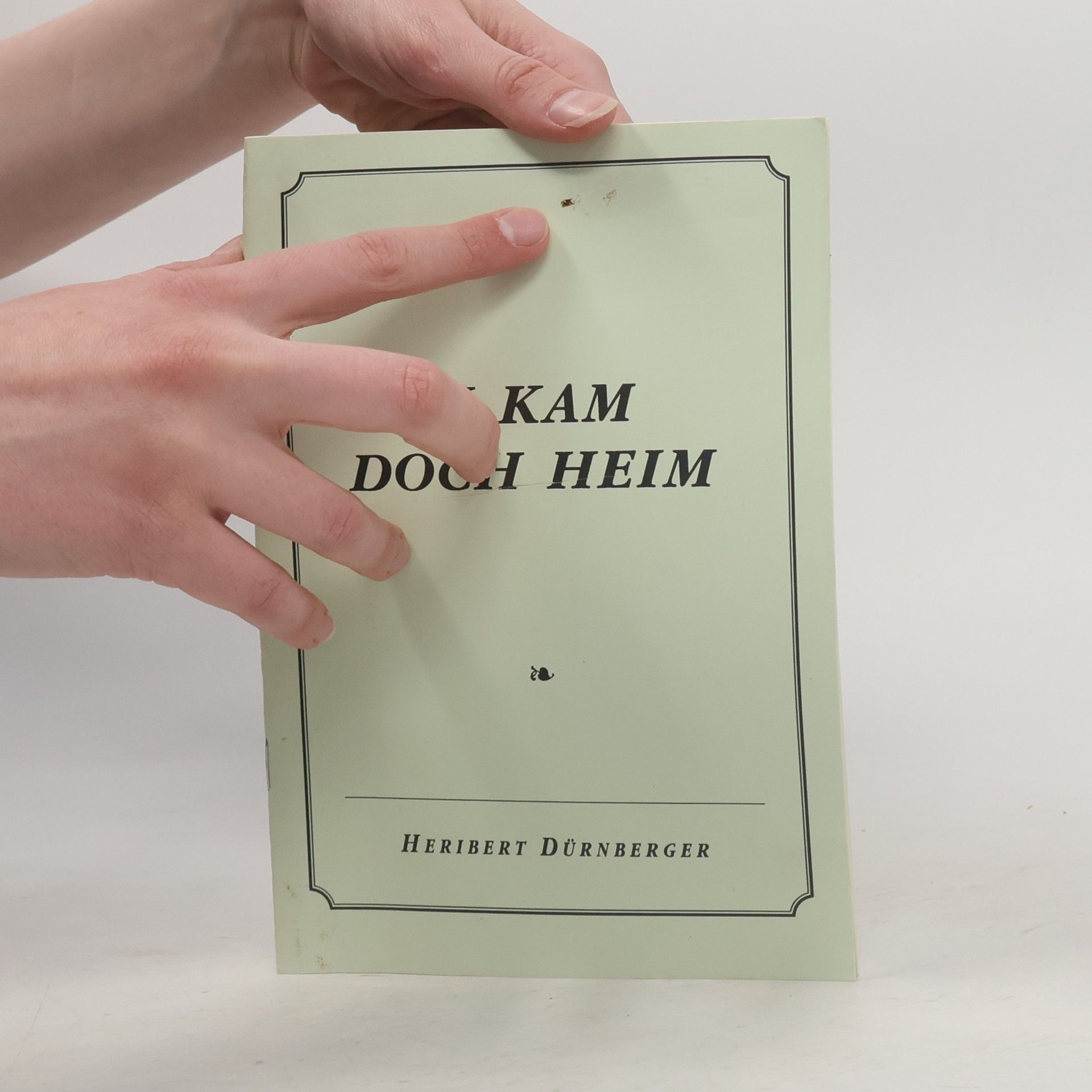 Heribert Dürnberger Ich kam doch heim
