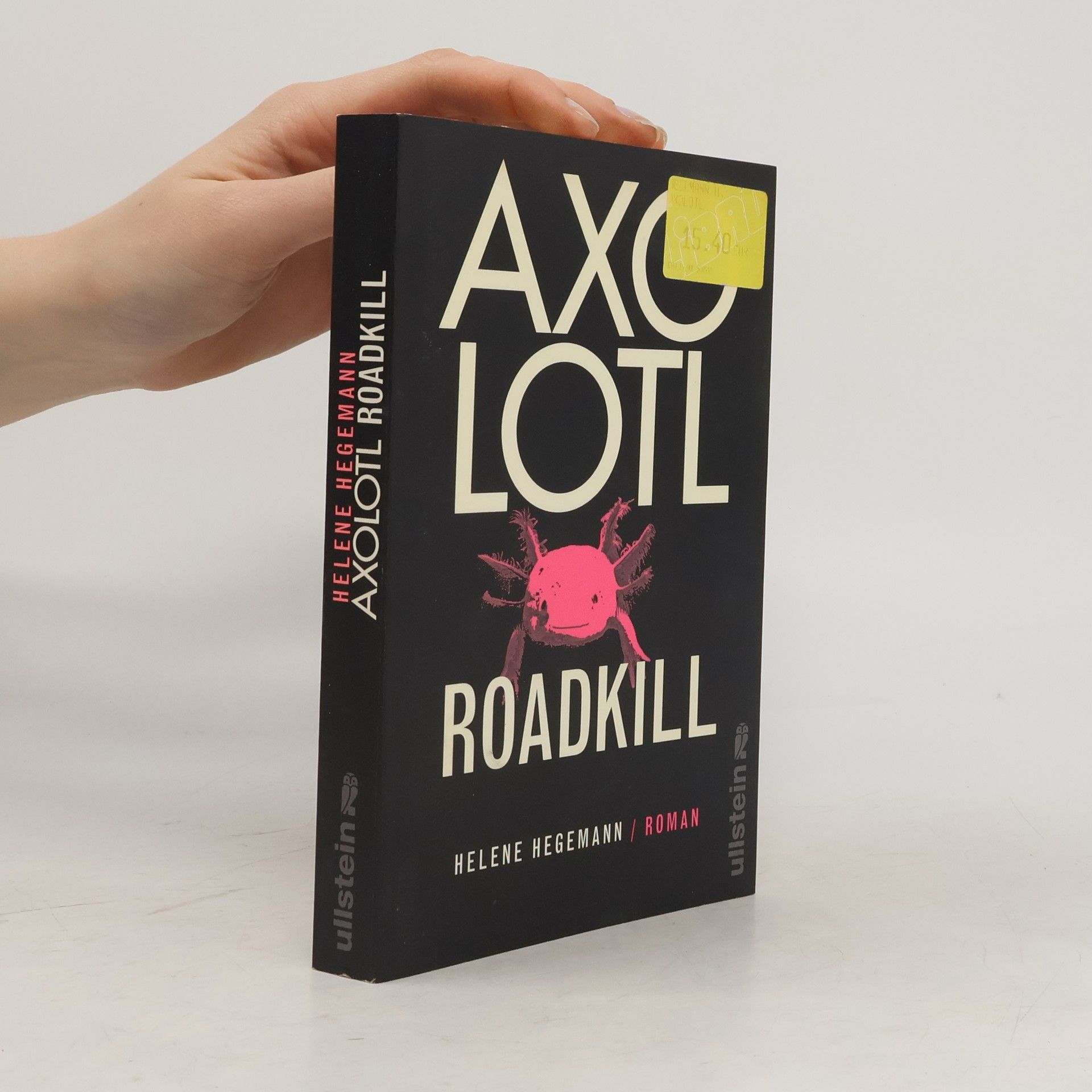 Helene Hegemann Axolotl Roadkill : Roman