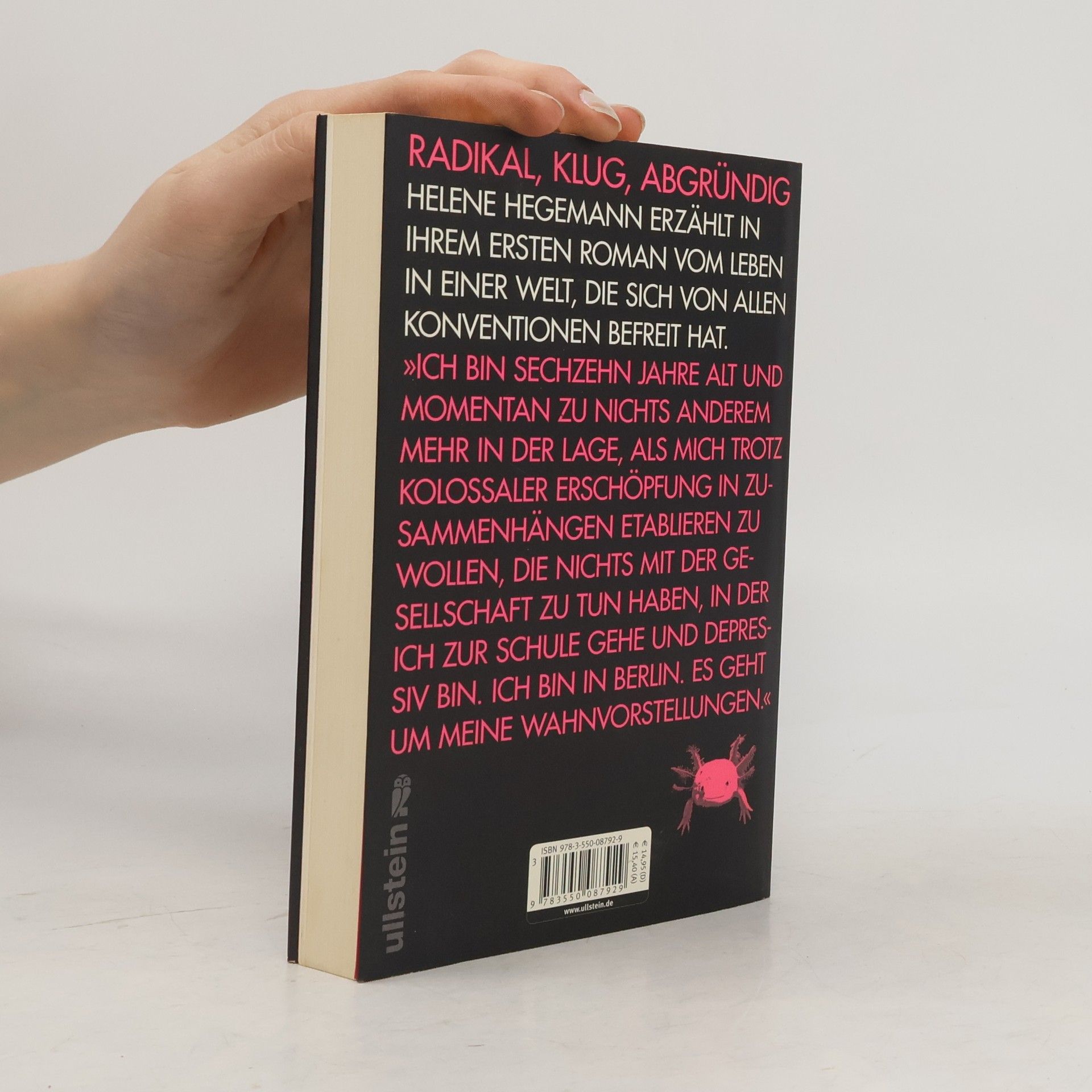 Helene Hegemann Axolotl Roadkill : Roman