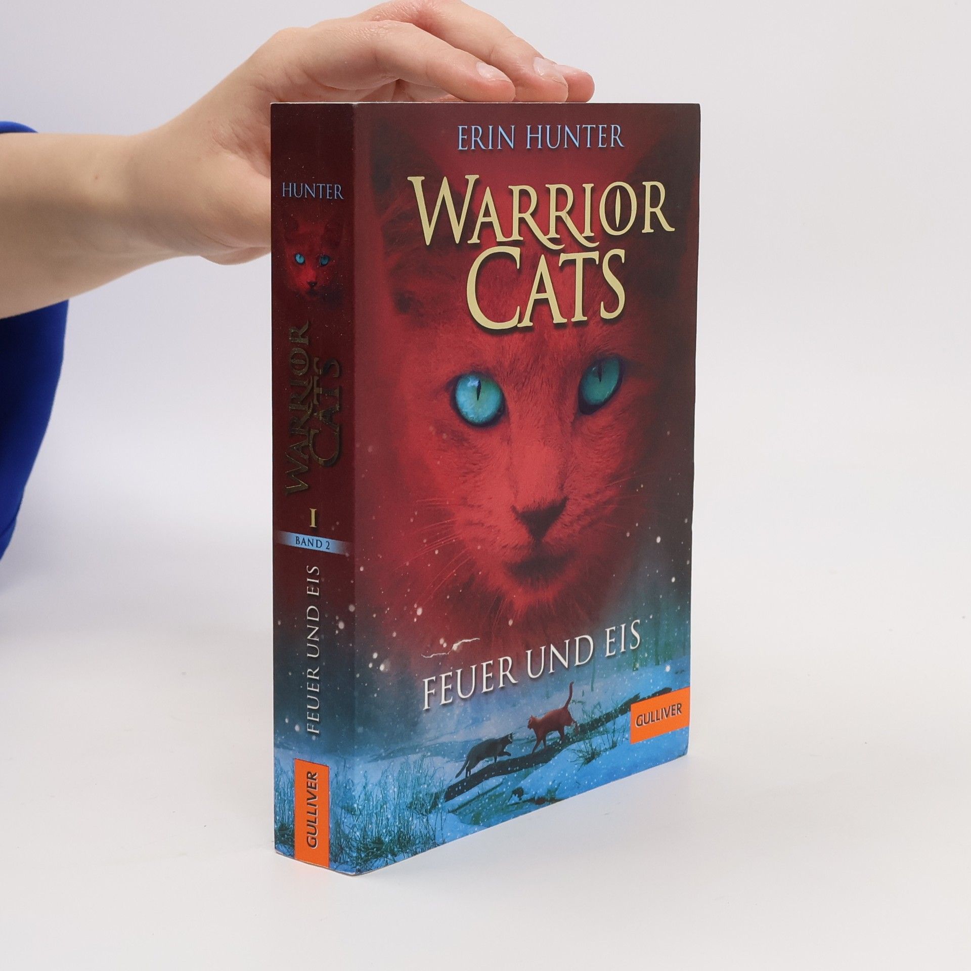 Erin Hunter Warrior Cats. Feuer und Eis