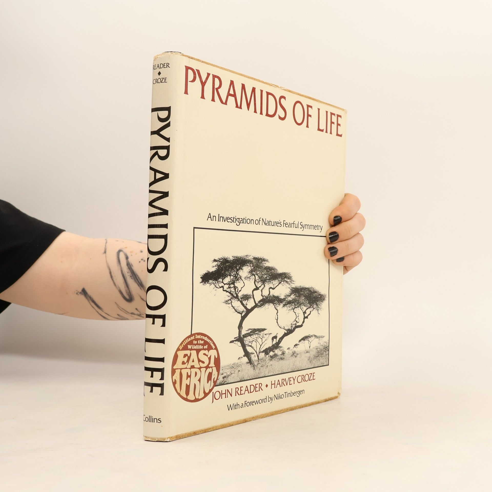 Harvey Croze Pyramids of Life