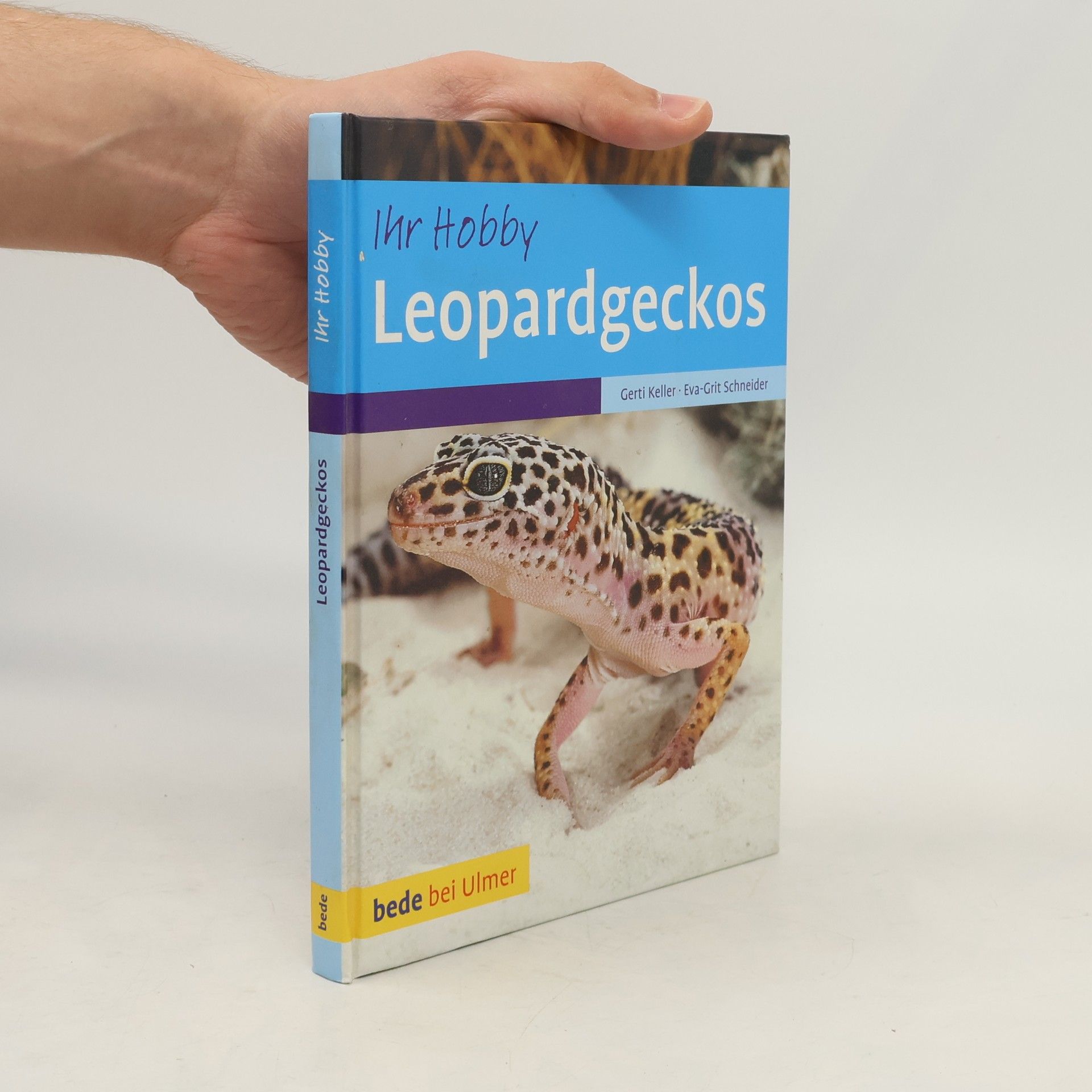 Gerti Keller Leopardgeckos