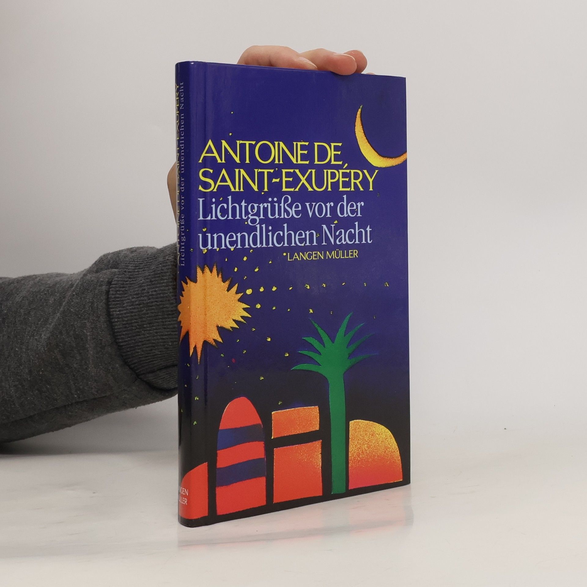 Antoine de Saint-Exupéry Lichtgrüße vor der unendlichen Nacht