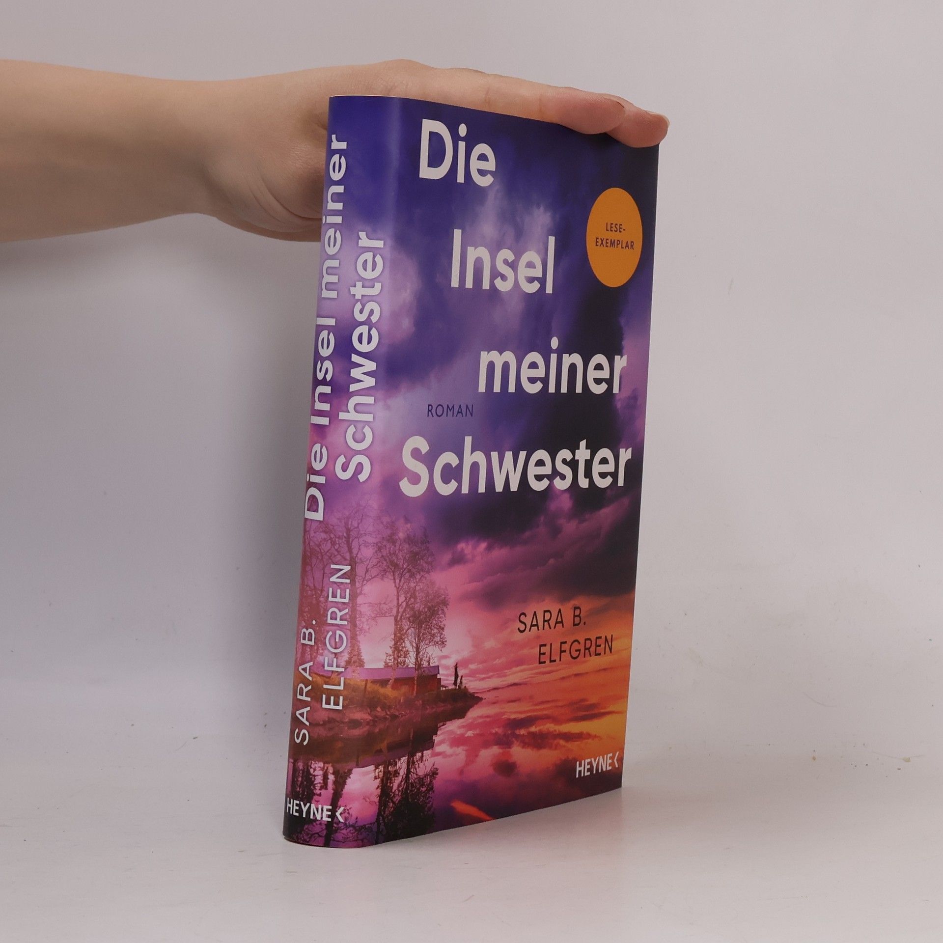 Sara B. Elfgren Die Insel meiner Schwester