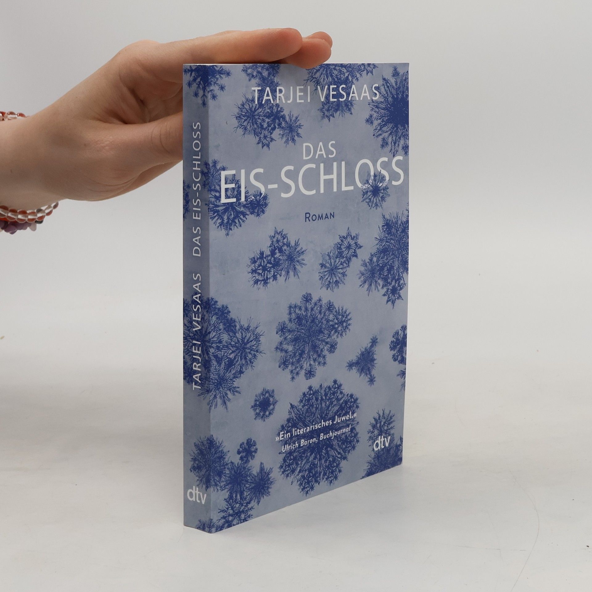 Tarjei Vesaas Das Eis-Schloss