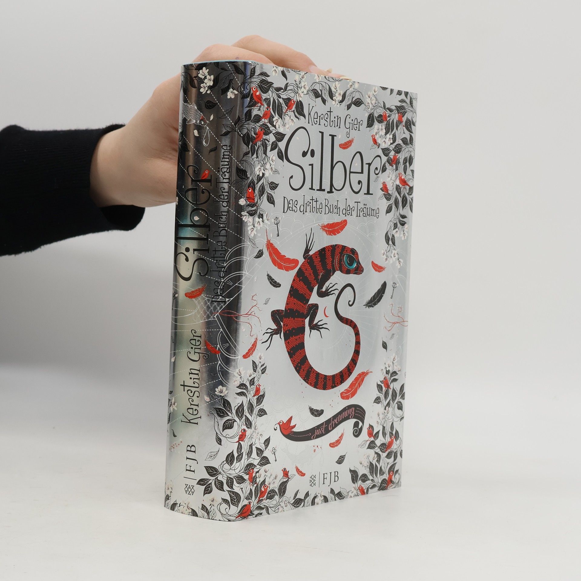 Kerstin Gier Silber. Das dritte Buch der Träume