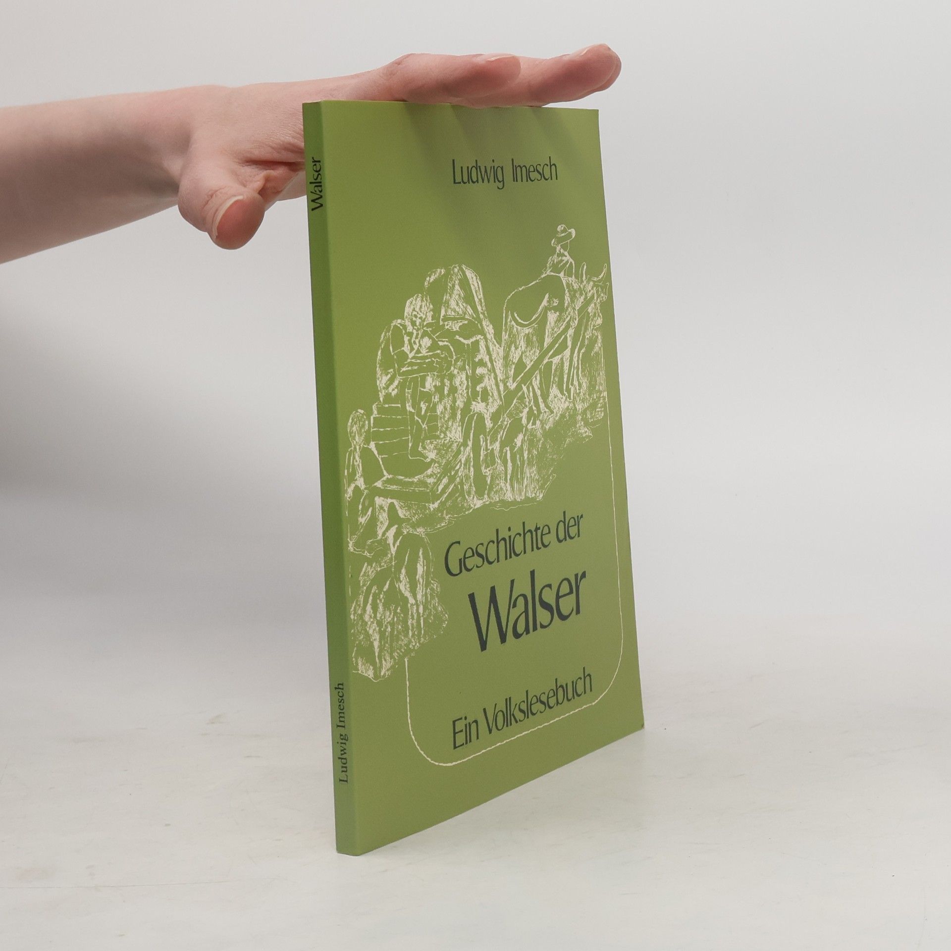 Ludwig Imesch Geschichte der Walser