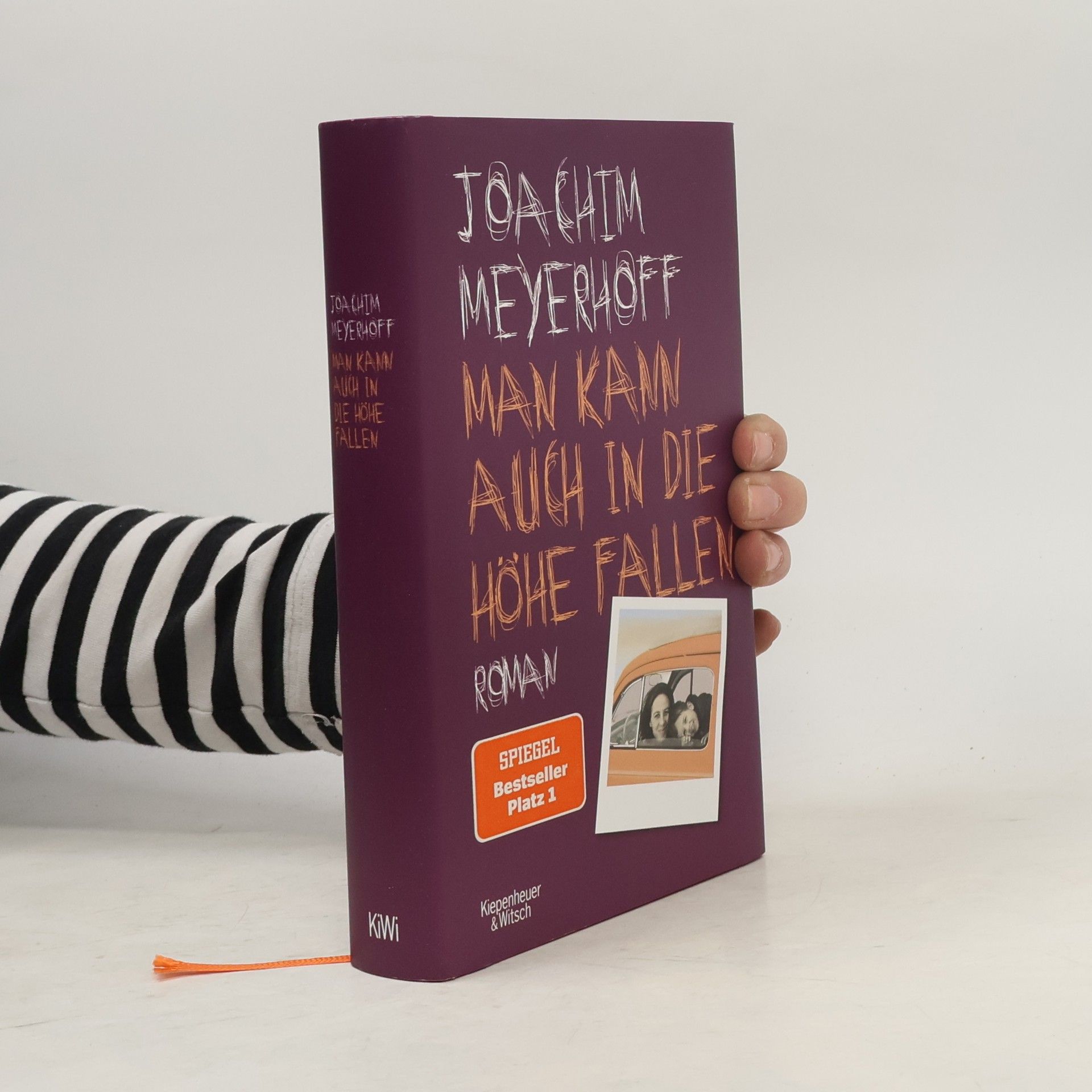 Joachim Meyerhoff Man kann auch in die Höhe fallen