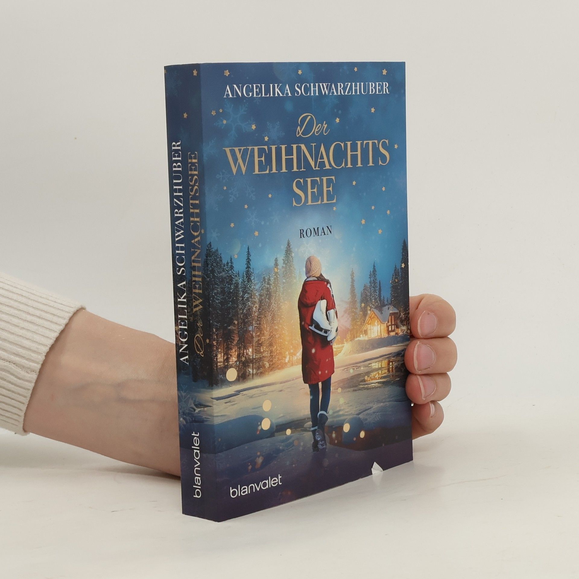 Anika Schwarz Der Weihnachtssee