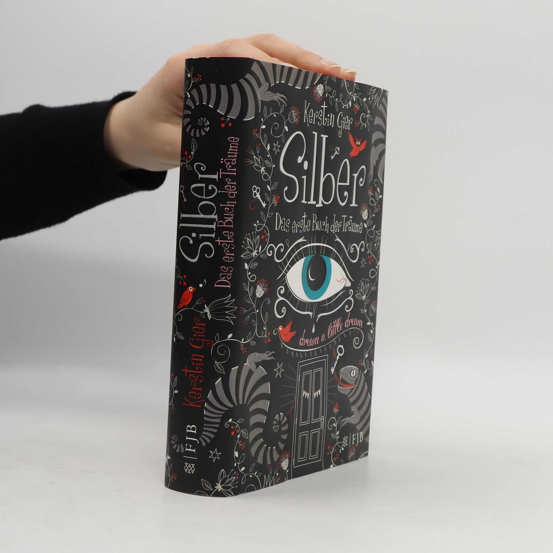 Kerstin Gier Silber. Das erste Buch der Träume
