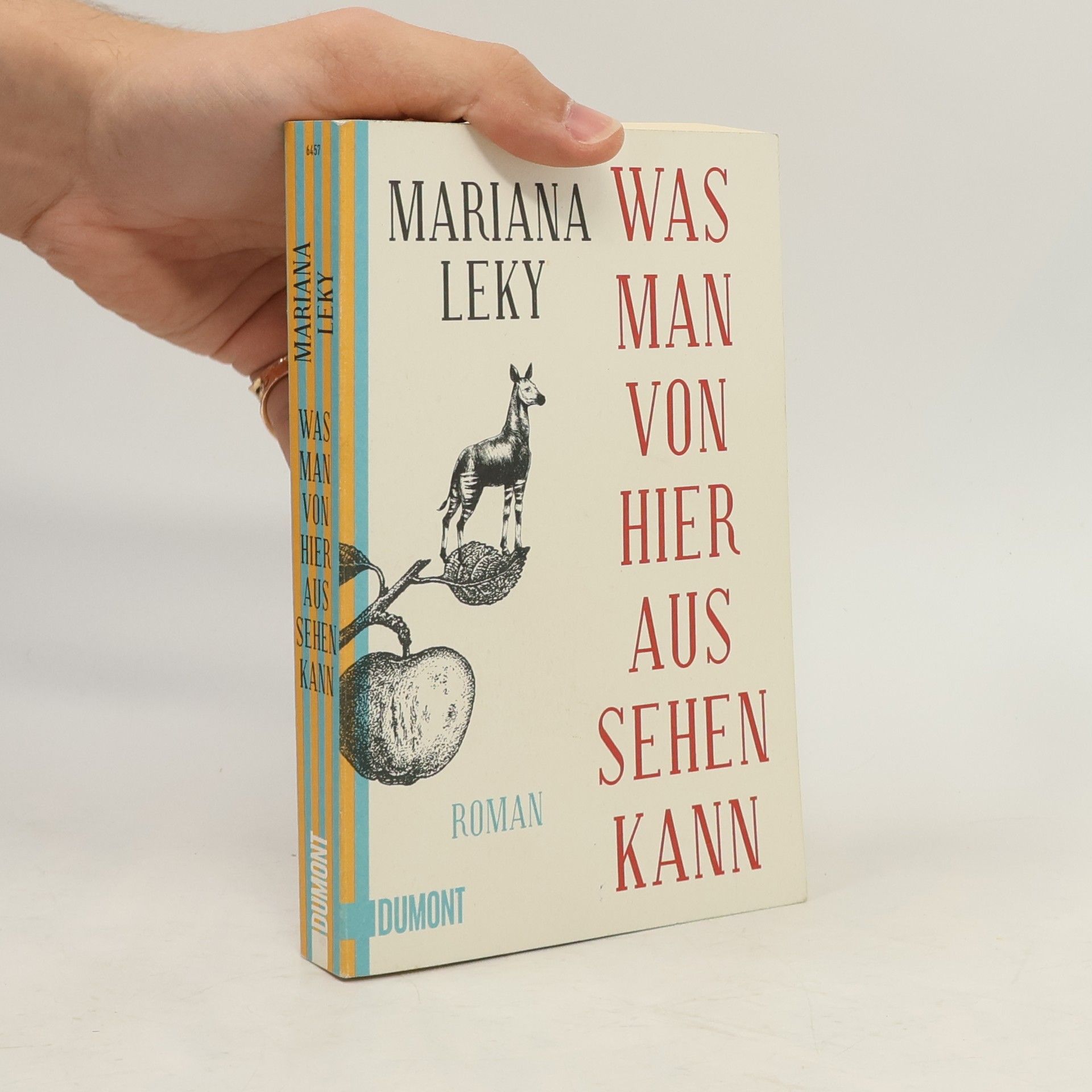 Mariana Leky Was man von hier aus sehen kann