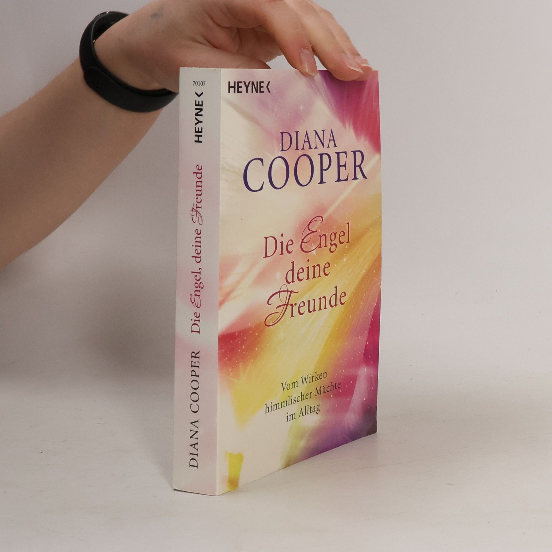 Diana Cooper Die Engel, deine Freunde