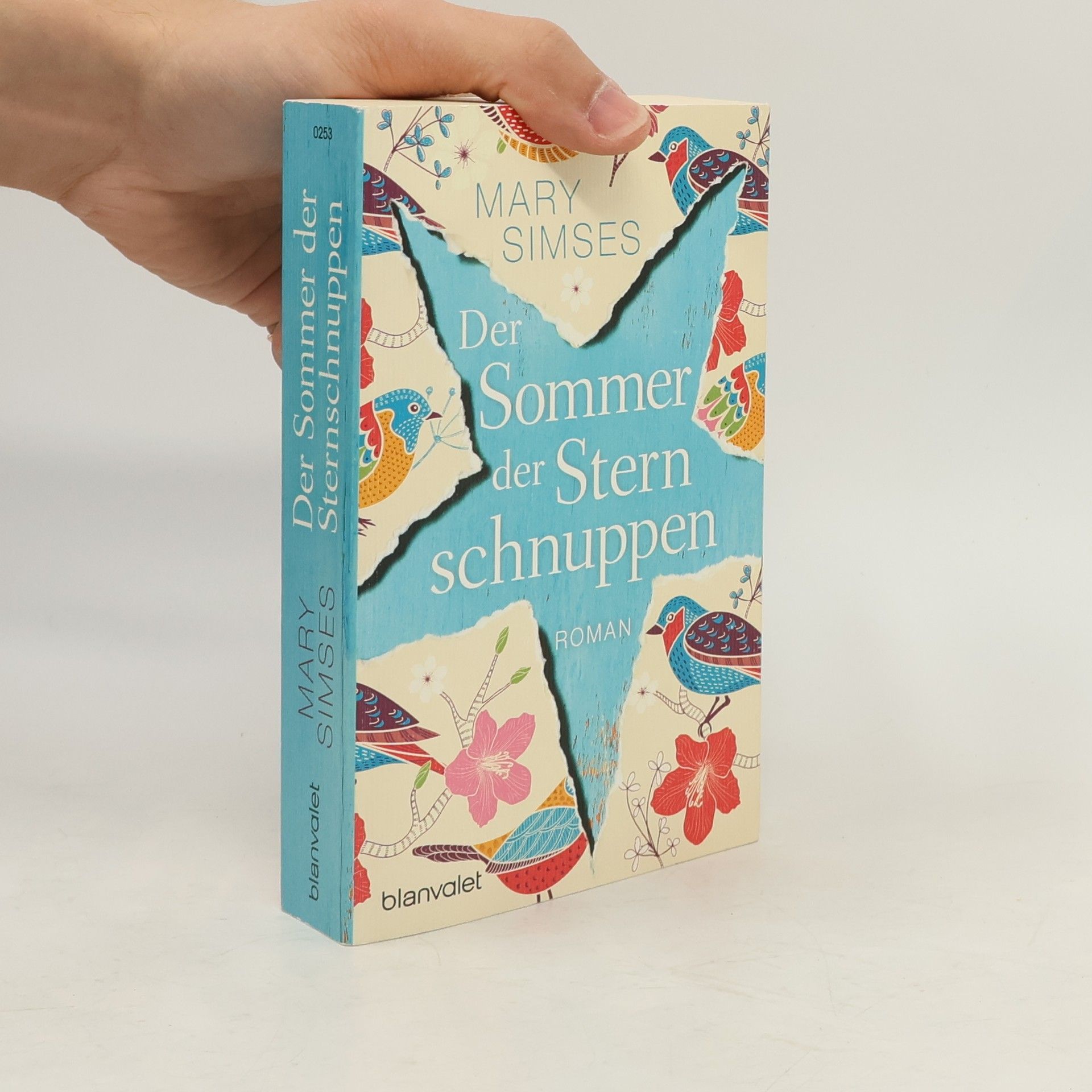 Simses Mary Der Sommer der Sternschnuppen