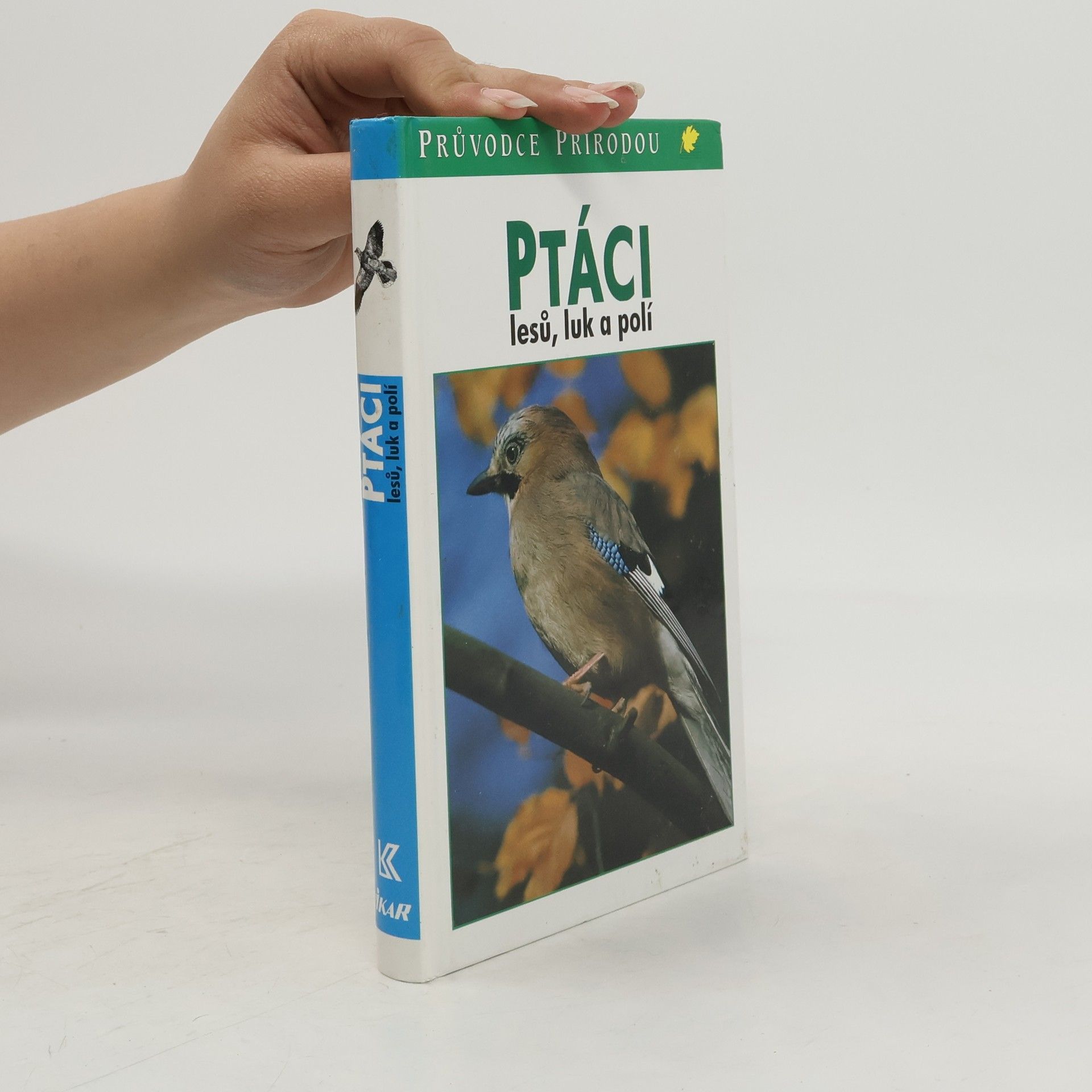 Frieder Sauer Ptáci lesů, luk a polí