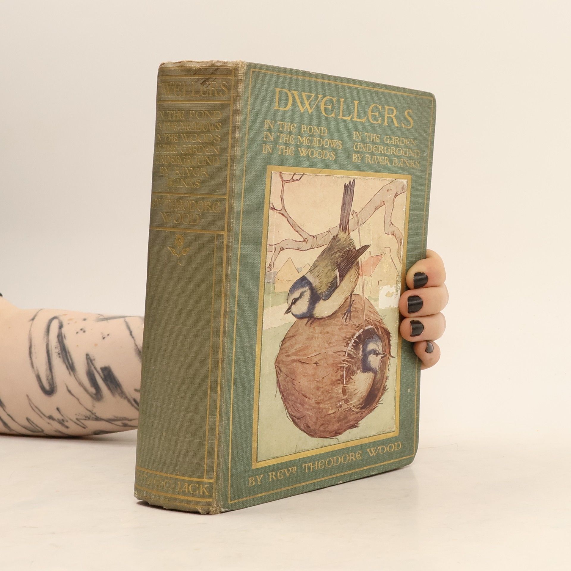 Theodore Wood Dwellers. In the Pond. In the Meadows. In the Woods. In the Garden. Underground. By River Banks