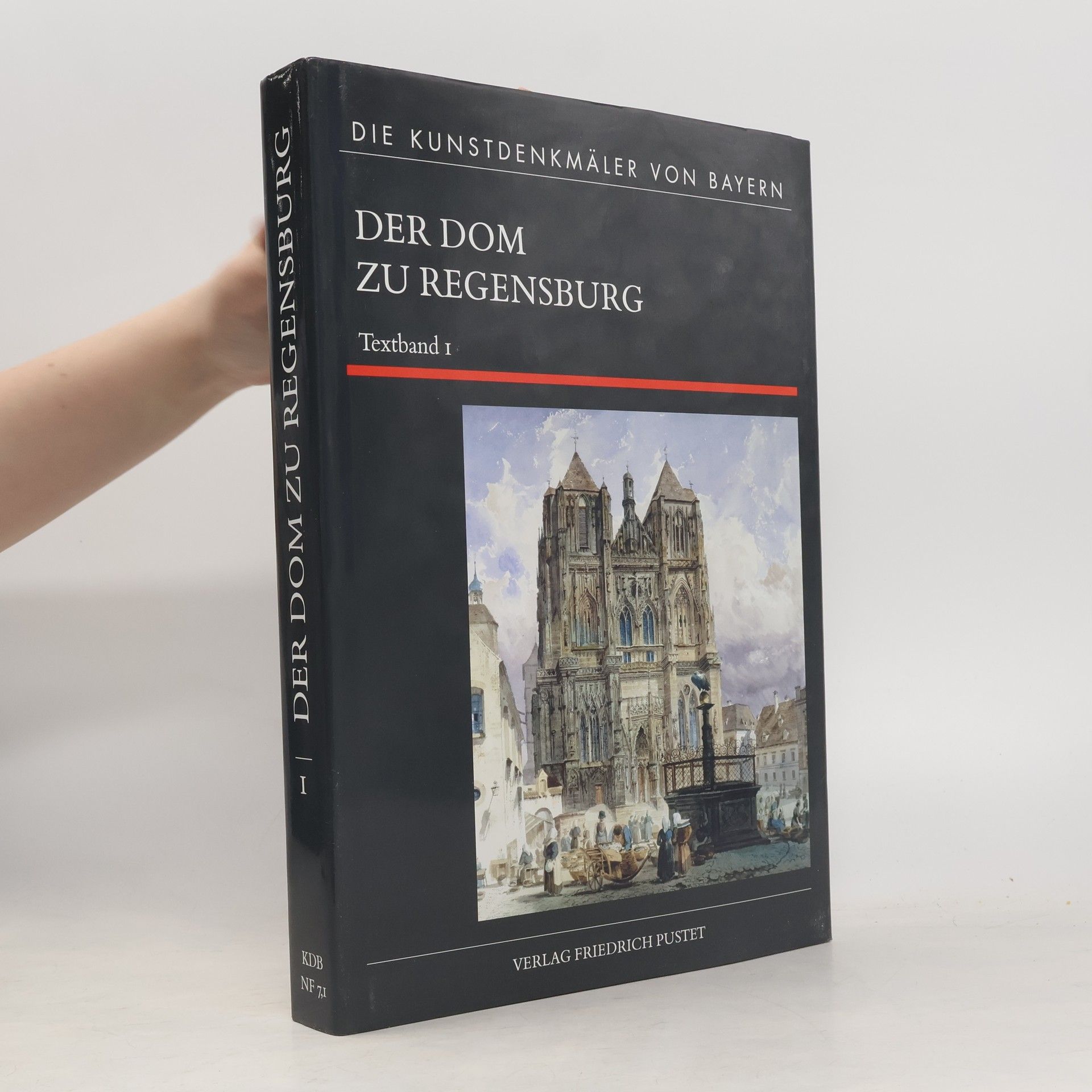 Kolektiv autorů Die Kunstdenkmäler von Bayern - 1: Der Dom zu Regensburg