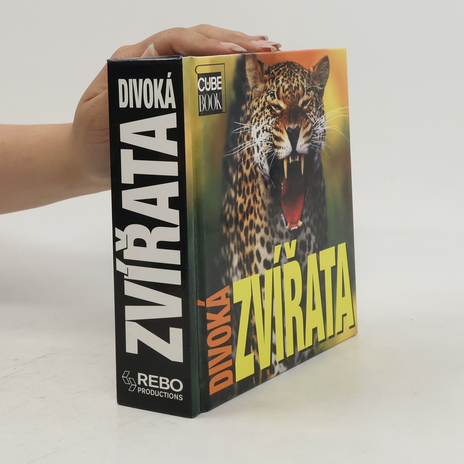 Divoká zvířata