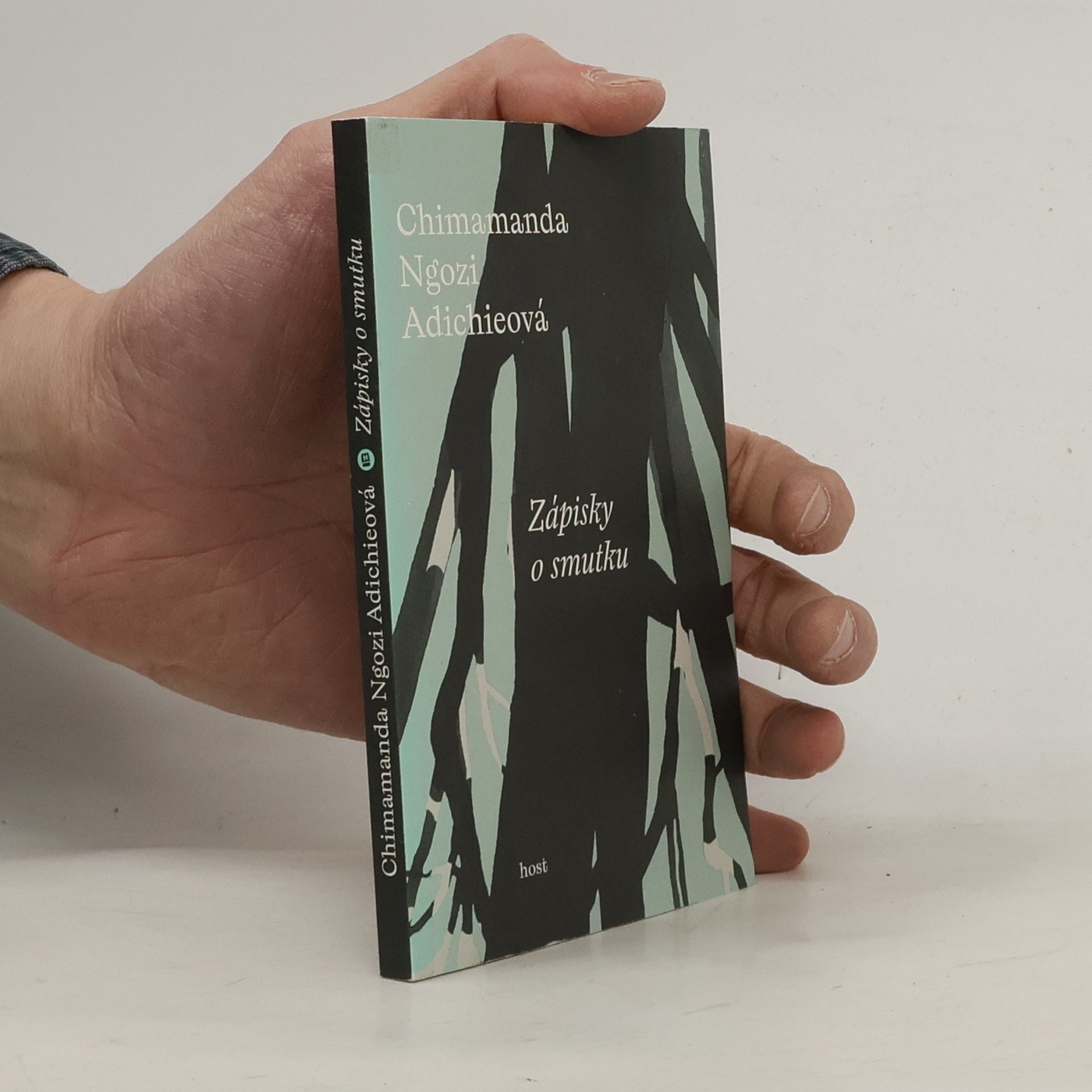 Chimamanda Ngozi Adichie Zápisky o smutku