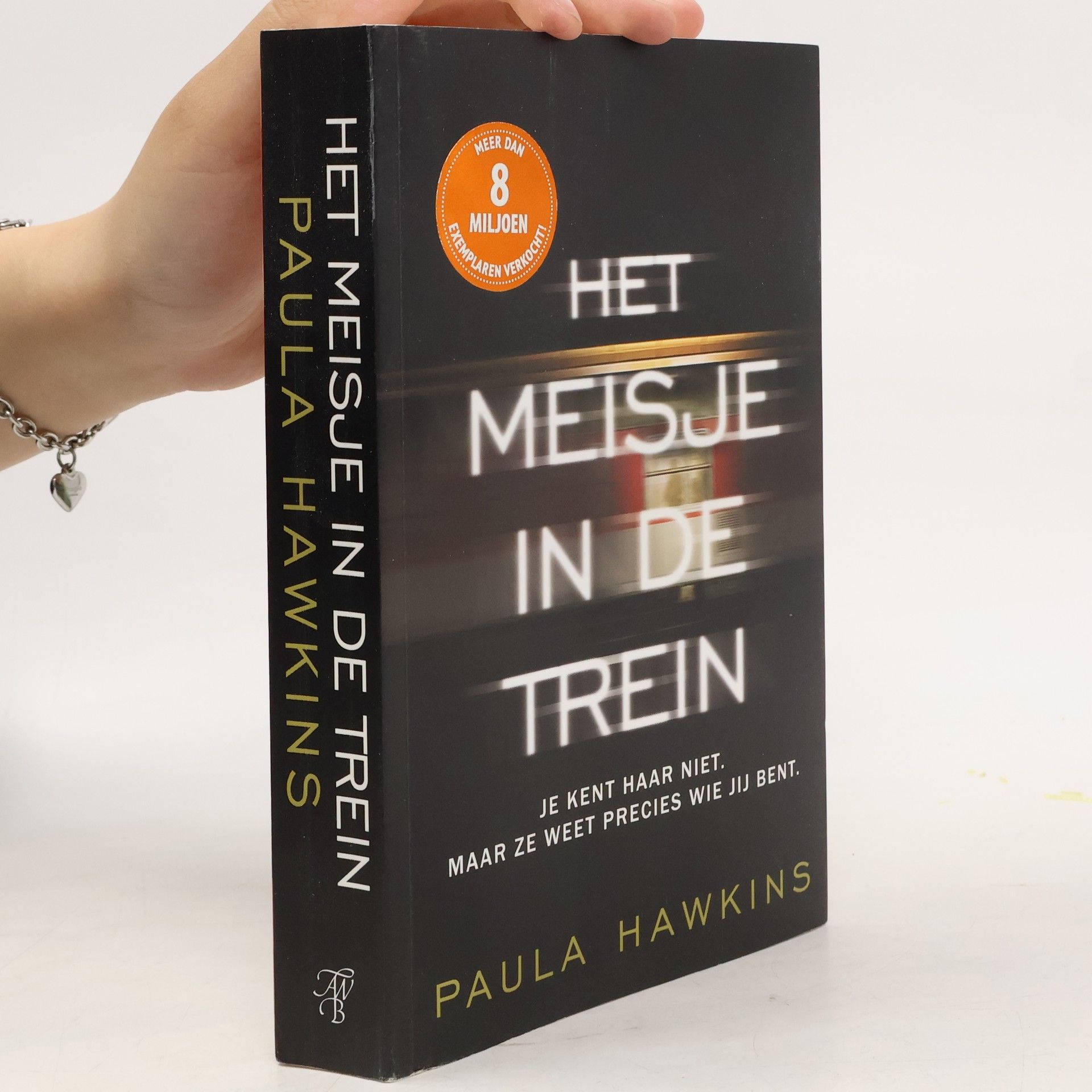 Het meisje in de trein / druk 1
