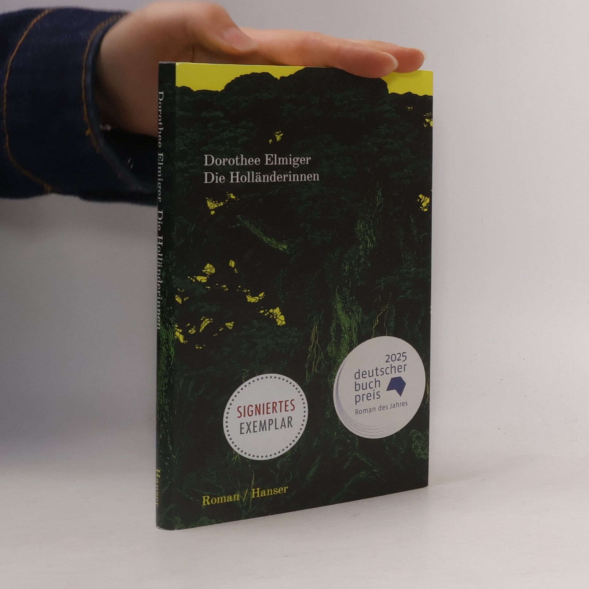Dorothee Elmiger Die Holländerinnen