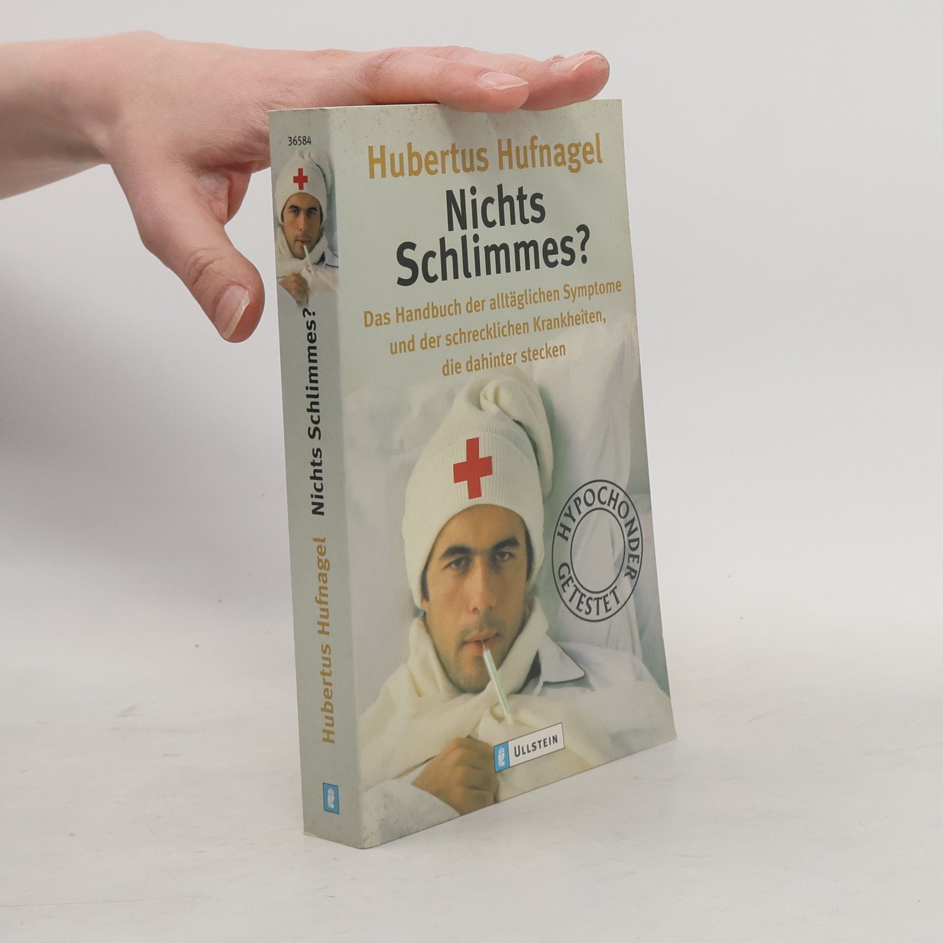 Hubertus Hufnagel Nichts Schlimmes?