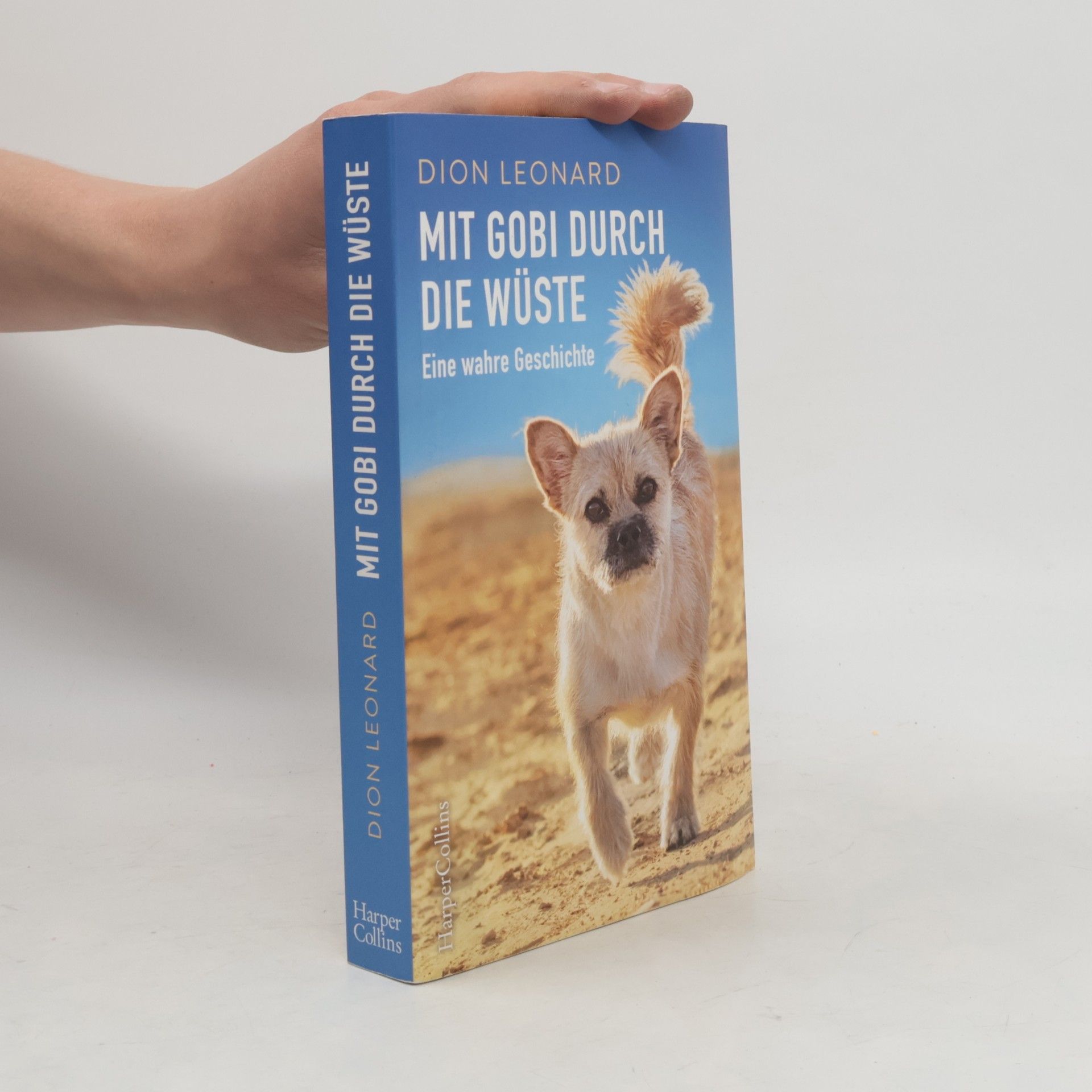 Dion Leonard Mit Gobi durch die Wüste