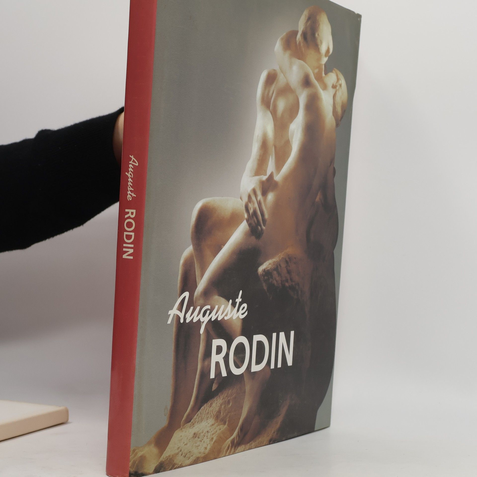 Collectif d'auteurs Auguste Rodin