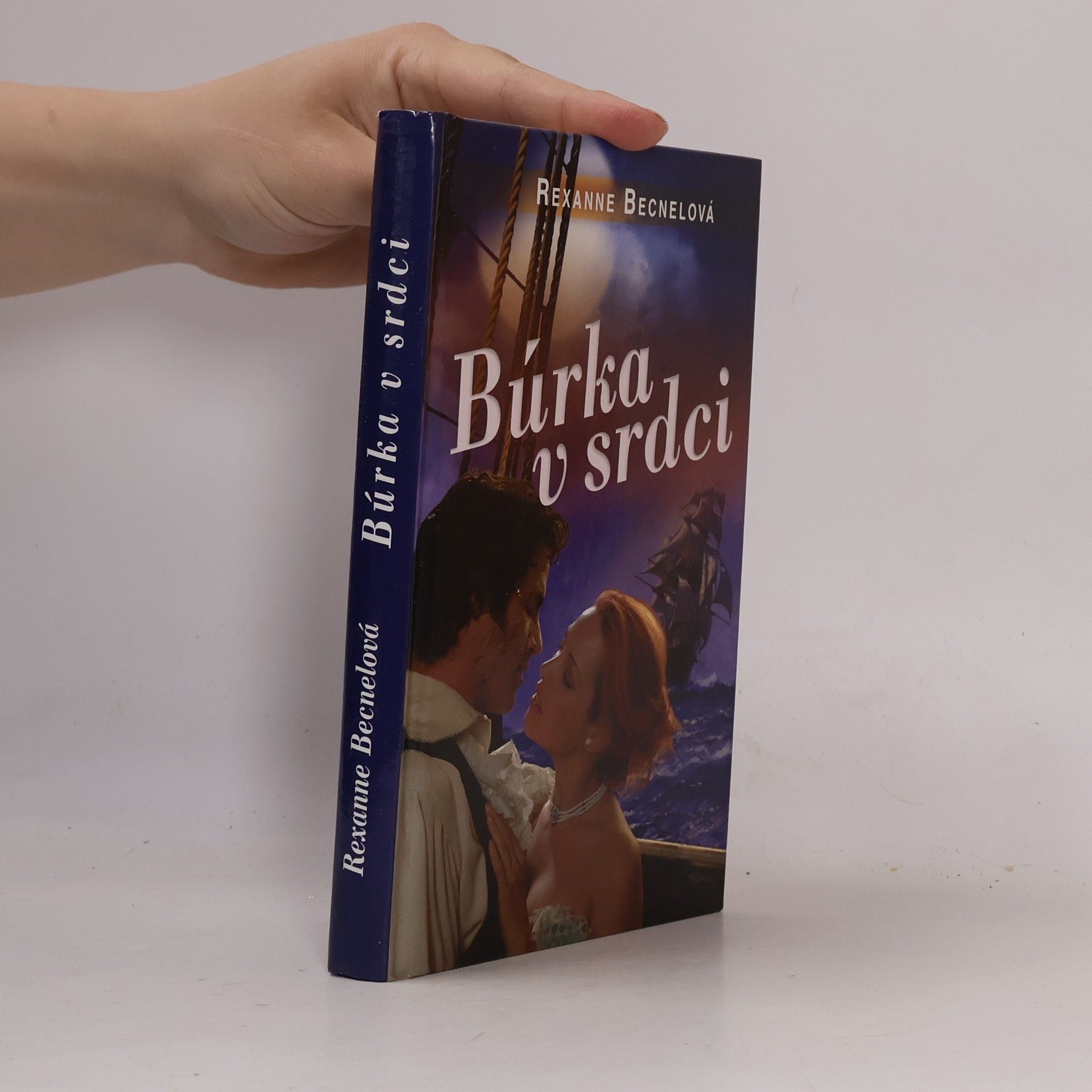 Rexanne Becnel Búrka v srdci