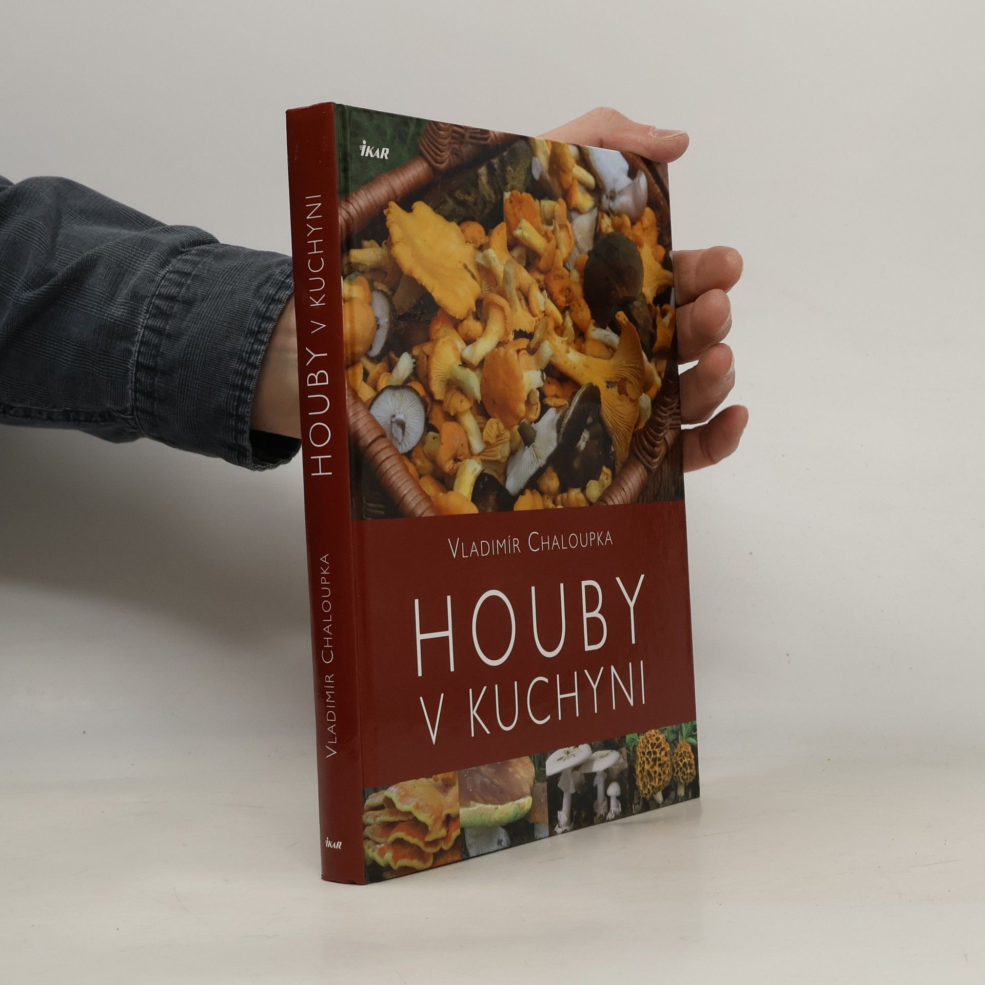 Vladimír Chaloupka Houby v kuchyni