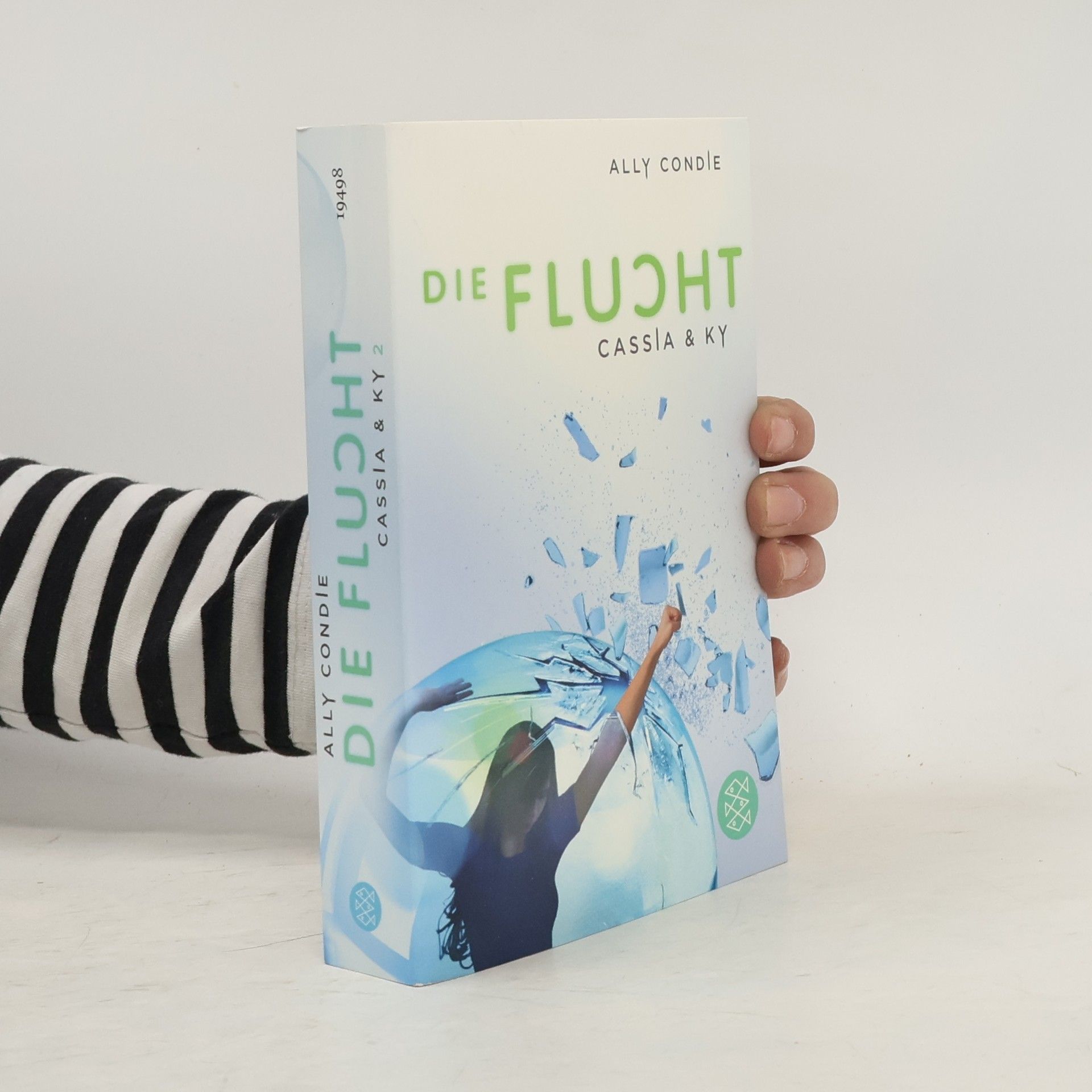 Allyson Braithwaite Condie Die Flucht