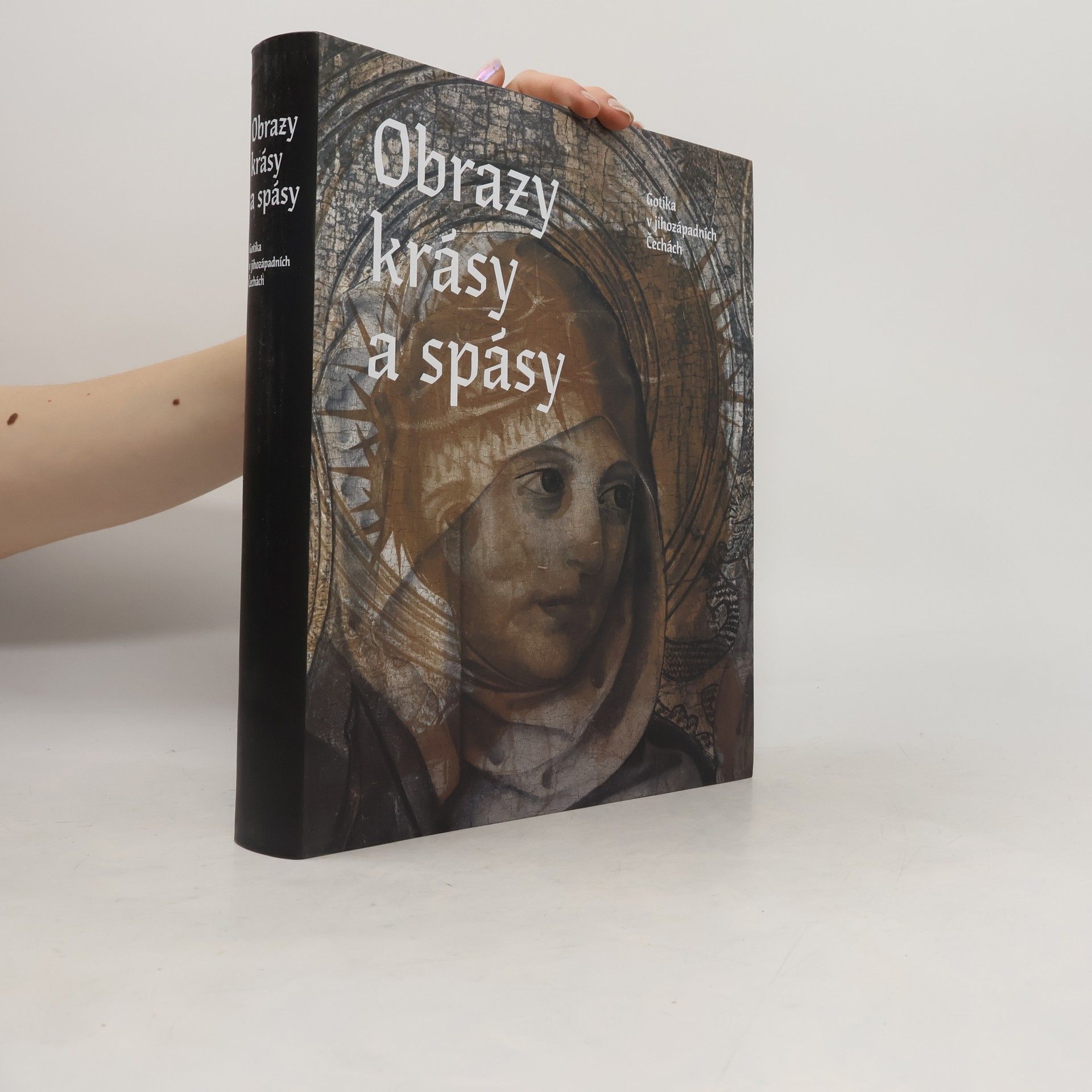 Petr Jindra Obrazy krásy a spásy. Gotika v jihozápadních Čechách