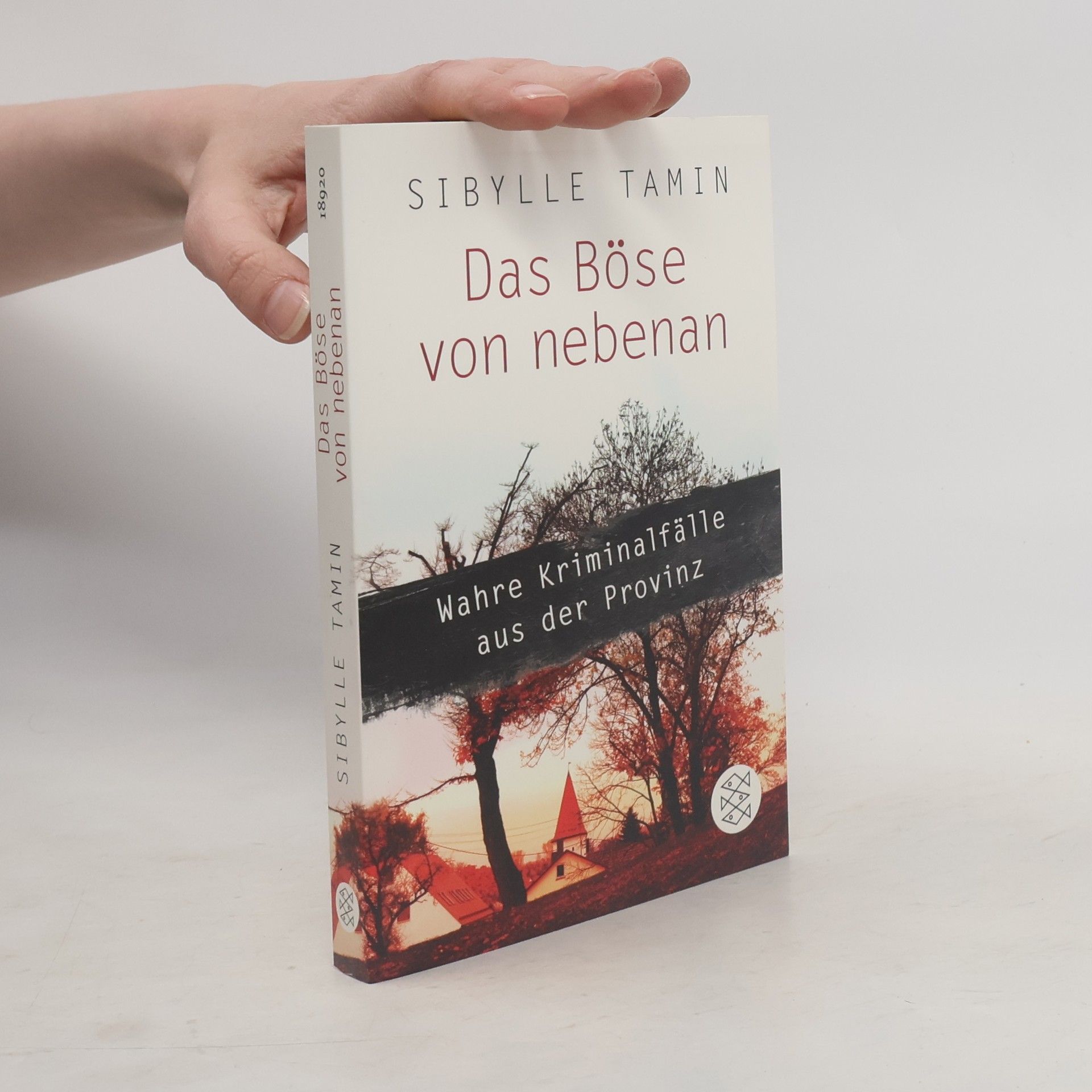 Sibylle Tamin Das Böse von nebenan